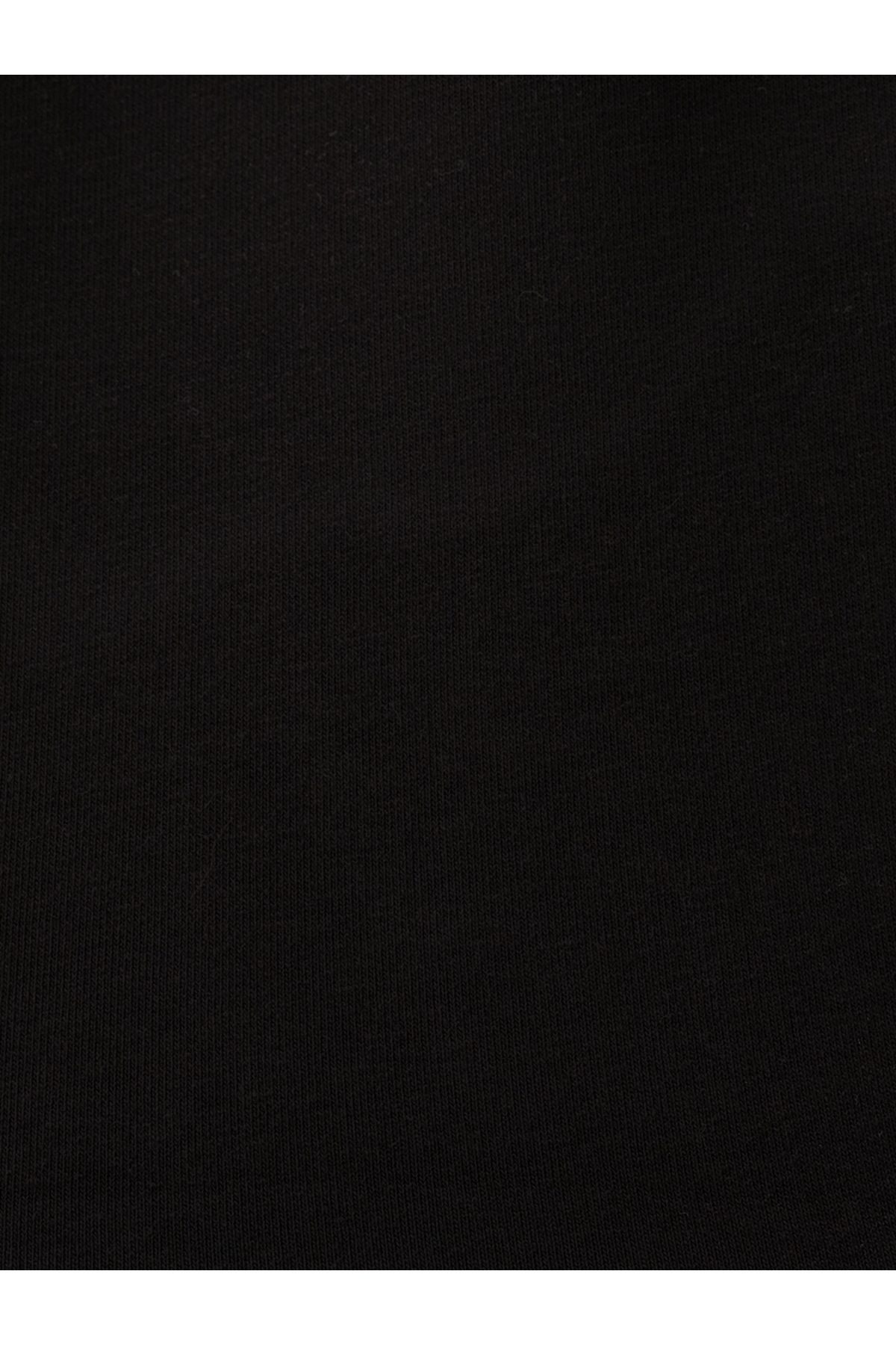 Regular Fit Erkek Sweatshirt — مشکی LF2034185_Q1.V1_BLK — تصویر 5 از 5