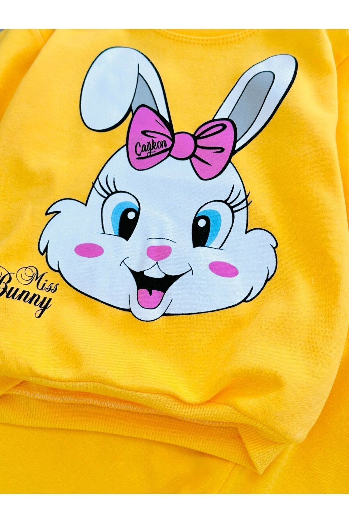 Ege Bebek Kız Bebek Mevsimlik Uzun Kollu Sevimli Tavşan Baskılı Sweathirt Alt Üst Takım fotoğrafı 3 (önizleme)