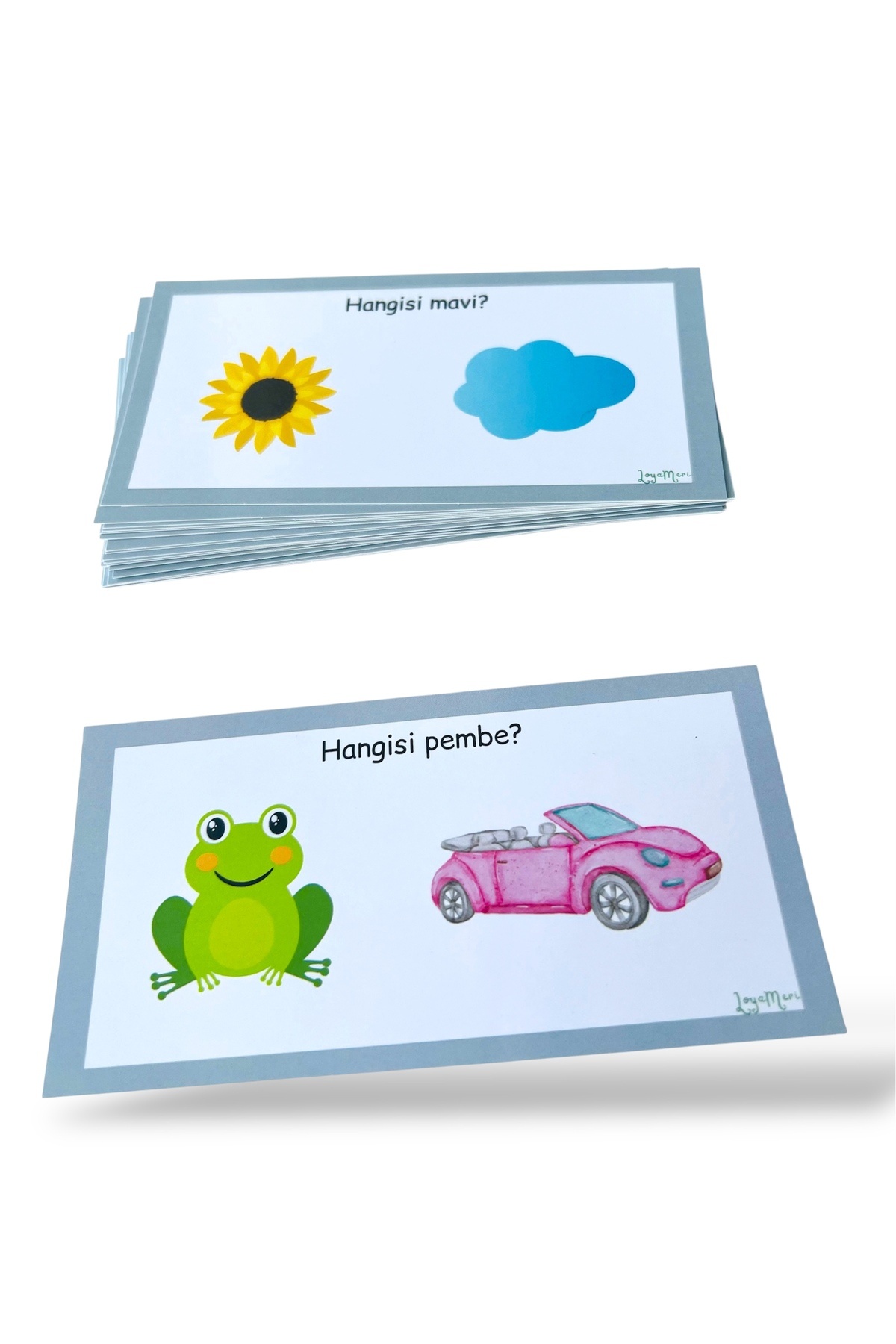 Loyameri Kidsshop RENK KARTLARI OKULÖNCESİ, ÖZEL EĞİTİM ETKİNLİK fotoğrafı 4 (önizleme)