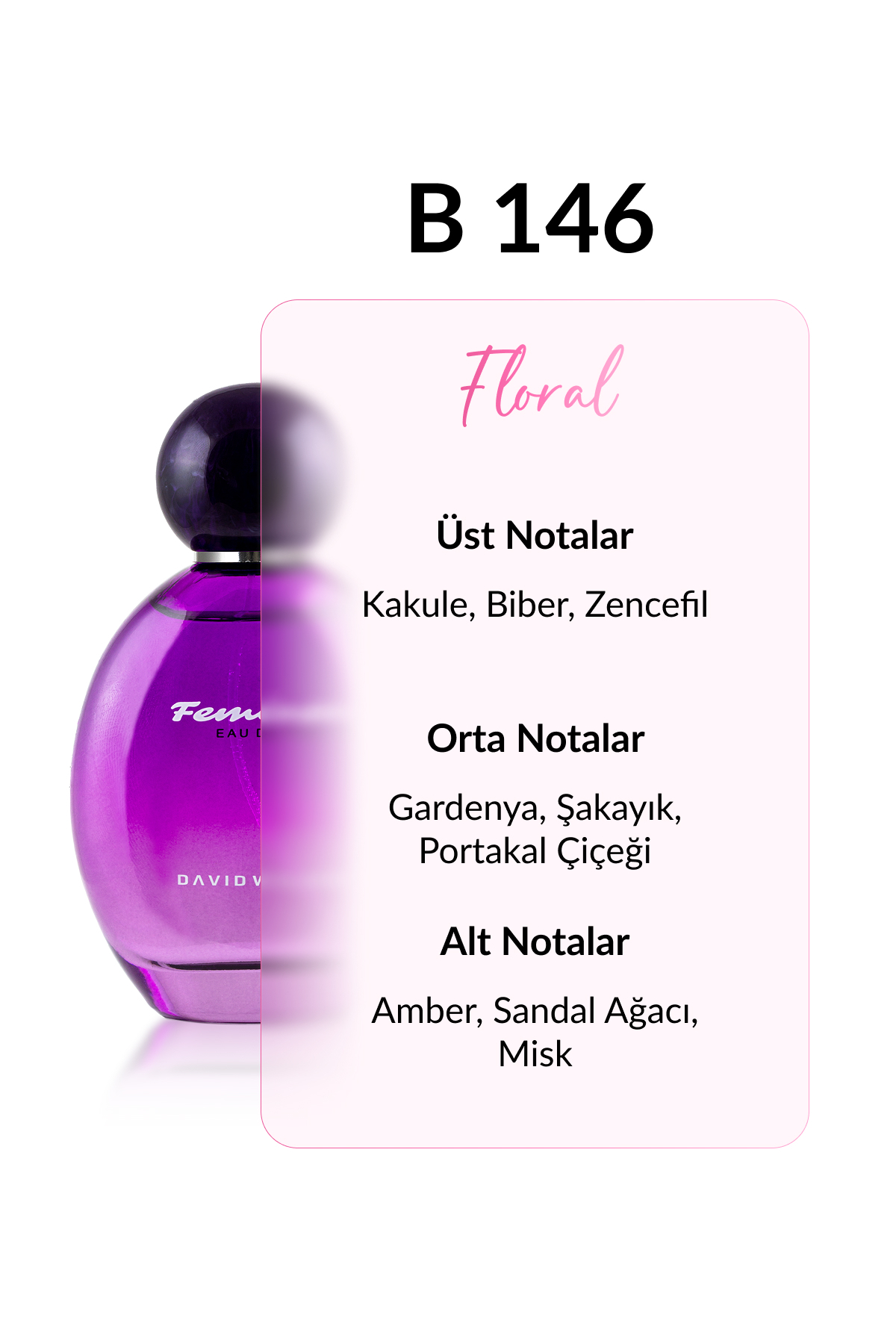 عطر زنانه | دیوید واکر David Walker B-146 DW 100 - تصویر 2