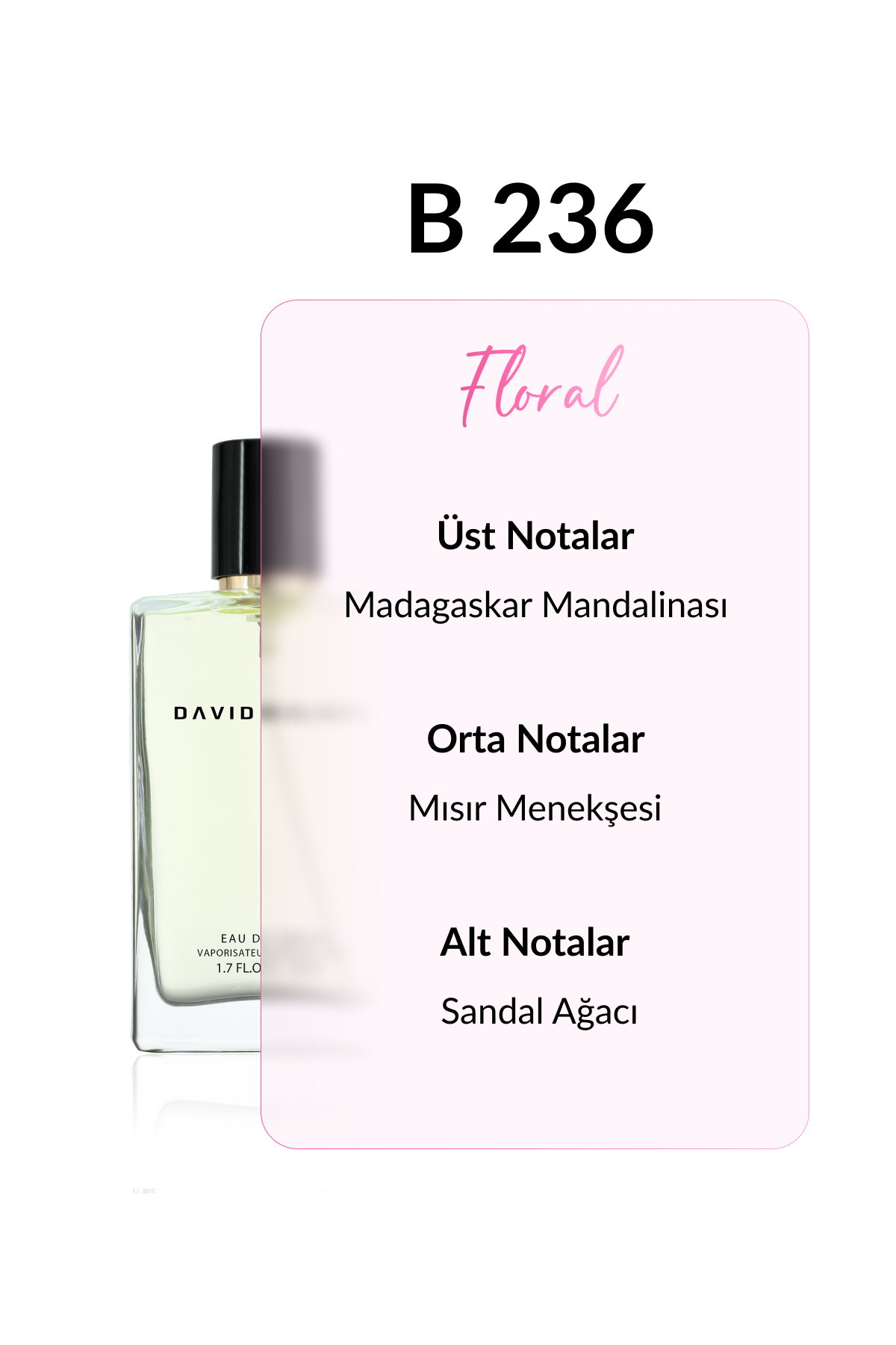 عطر زنانه | دیوید واکر David Walker B-236 DW 50 - تصویر 2