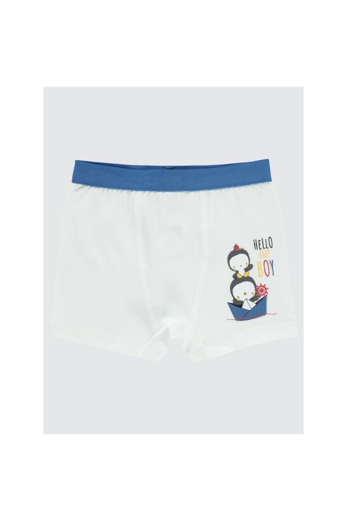 سیویل بیبی باکسر پسر بچه ۹ تا ۱۸ ماهه - استاندارد ۱۲ ماهه سیویل بیبی باکسر پسر بچه ۹ تا ۱۸ ماهه - استاندارد ۱۲ ماهه