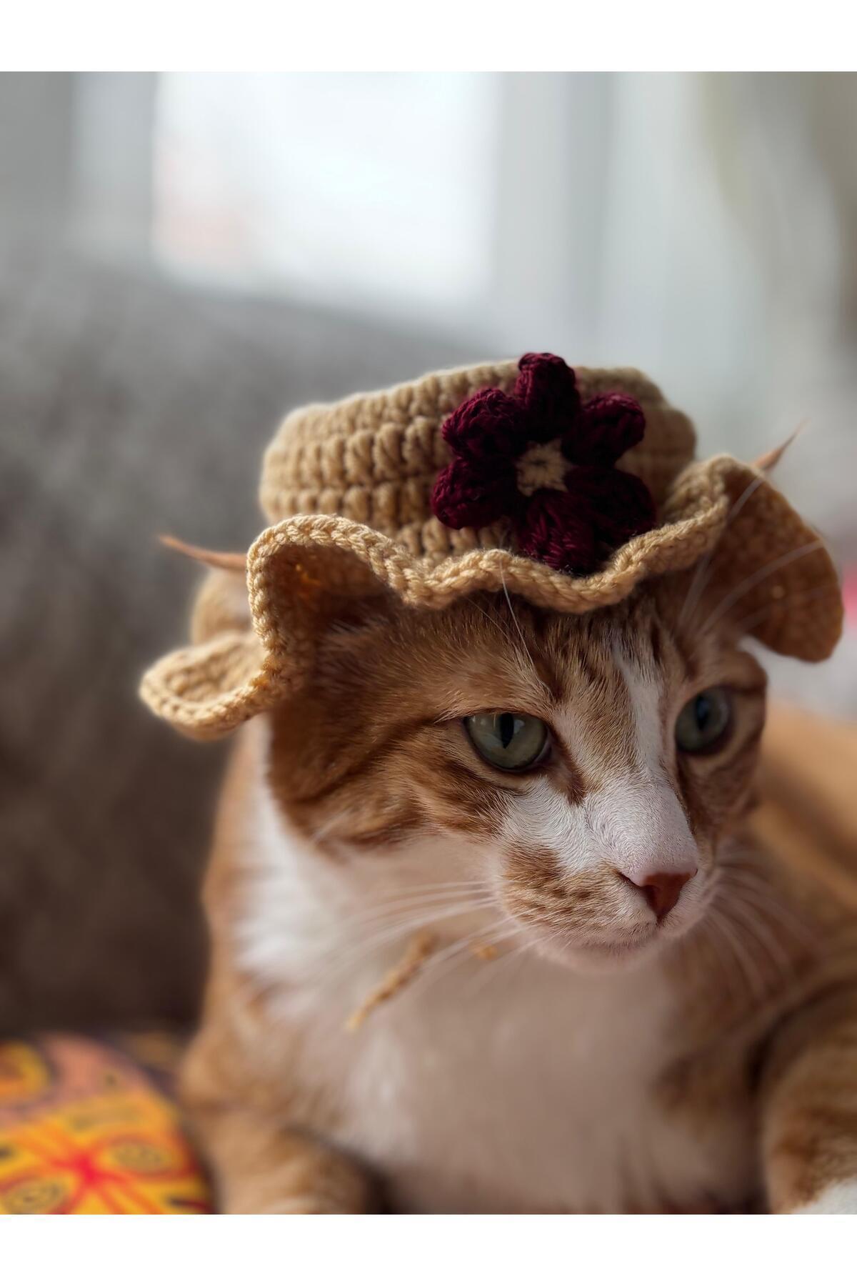 EHF LifeStyle KEDİ ŞAPKASI/ ÖRGÜ ṢAPKA / KEDİ BERE