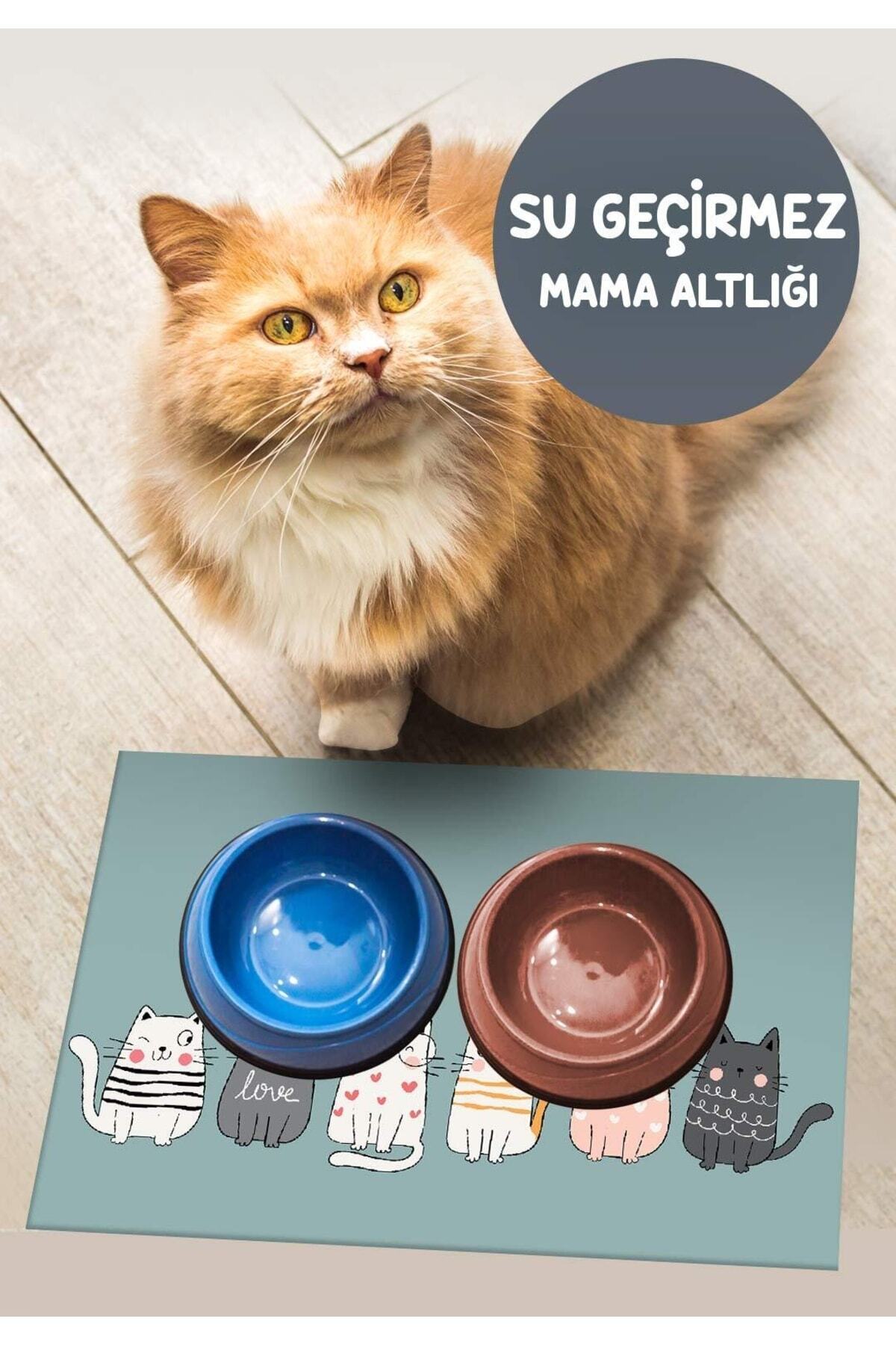 royalmoni Sıvı Geçirmez Mama Altlığı Mama Paspası geniş ebat 40x60 Cm