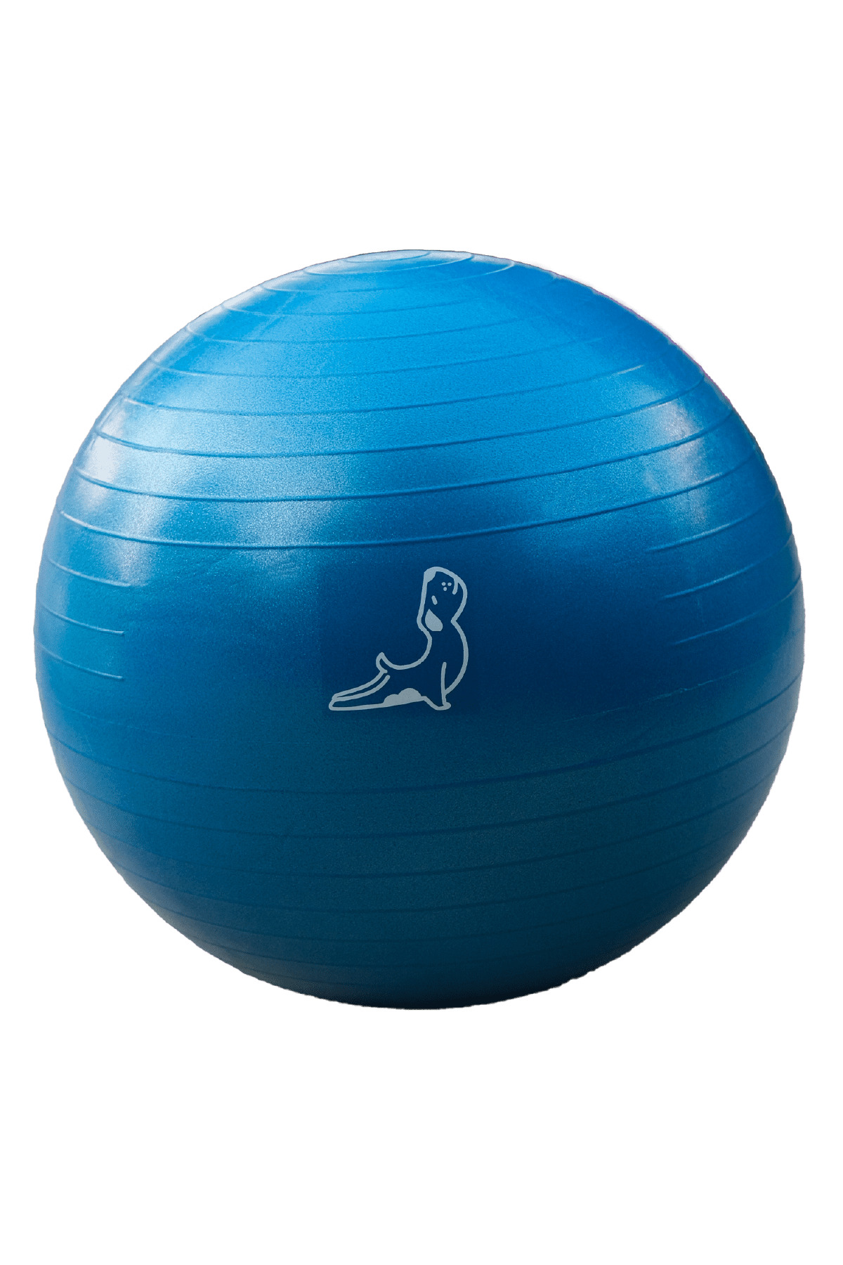 65 cm Exercise Ball Explosion Proof Pump Included Blue