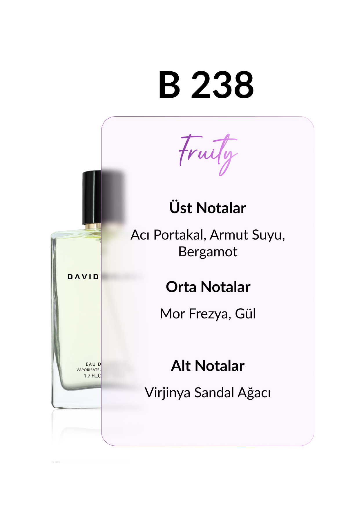 عطر مردانه | دیوید واکر David Walker DW.ML050.FMN.K.238 - تصویر 2