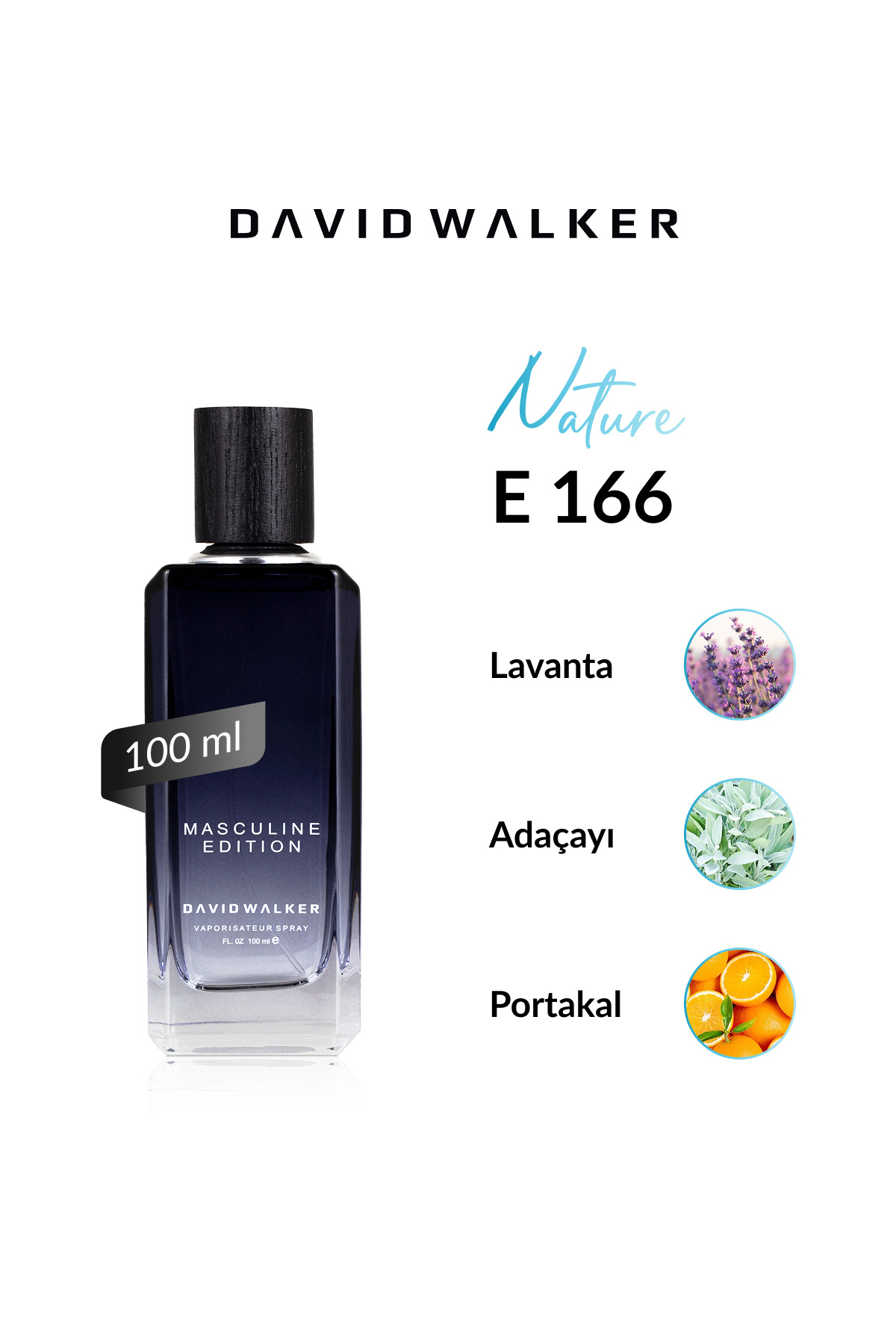 دیوید واکر E166 Egos 100 ml عطر مردانه 