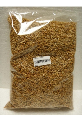 Pelagos Kurutulmuş Karides 50 gr Skt : 01/2025 Kaplumbağa ve Balık yemi