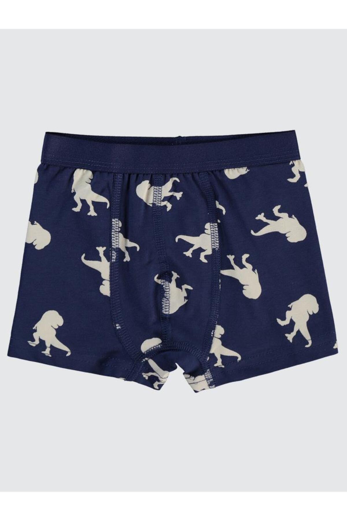 Civil Boys Dinazor 2-10 Yaş İç Çamaşır Takım - Beyaz fotoğrafı 2 (önizleme)