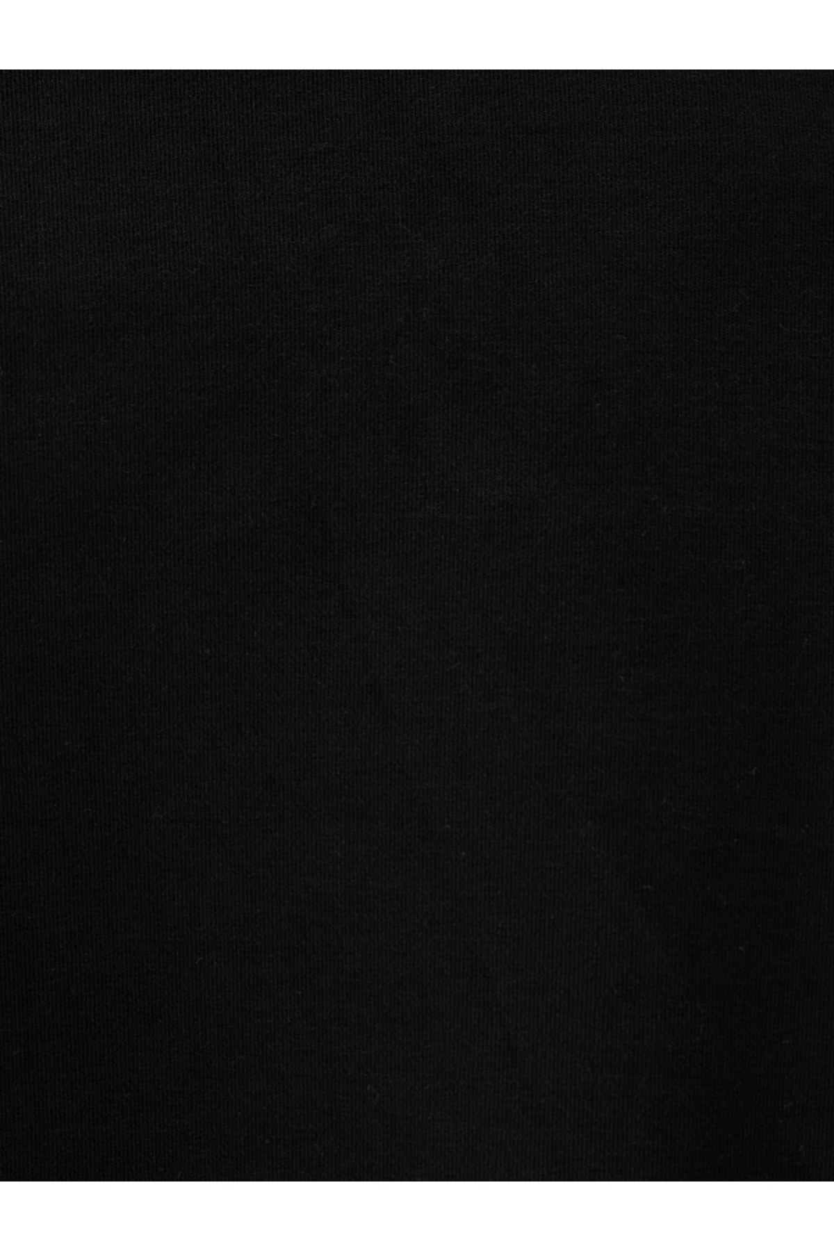 Erkek Sweatshirt Siyah Lf2037395 — مشکی LF2037395_Q1.V1 — تصویر 5 از 5