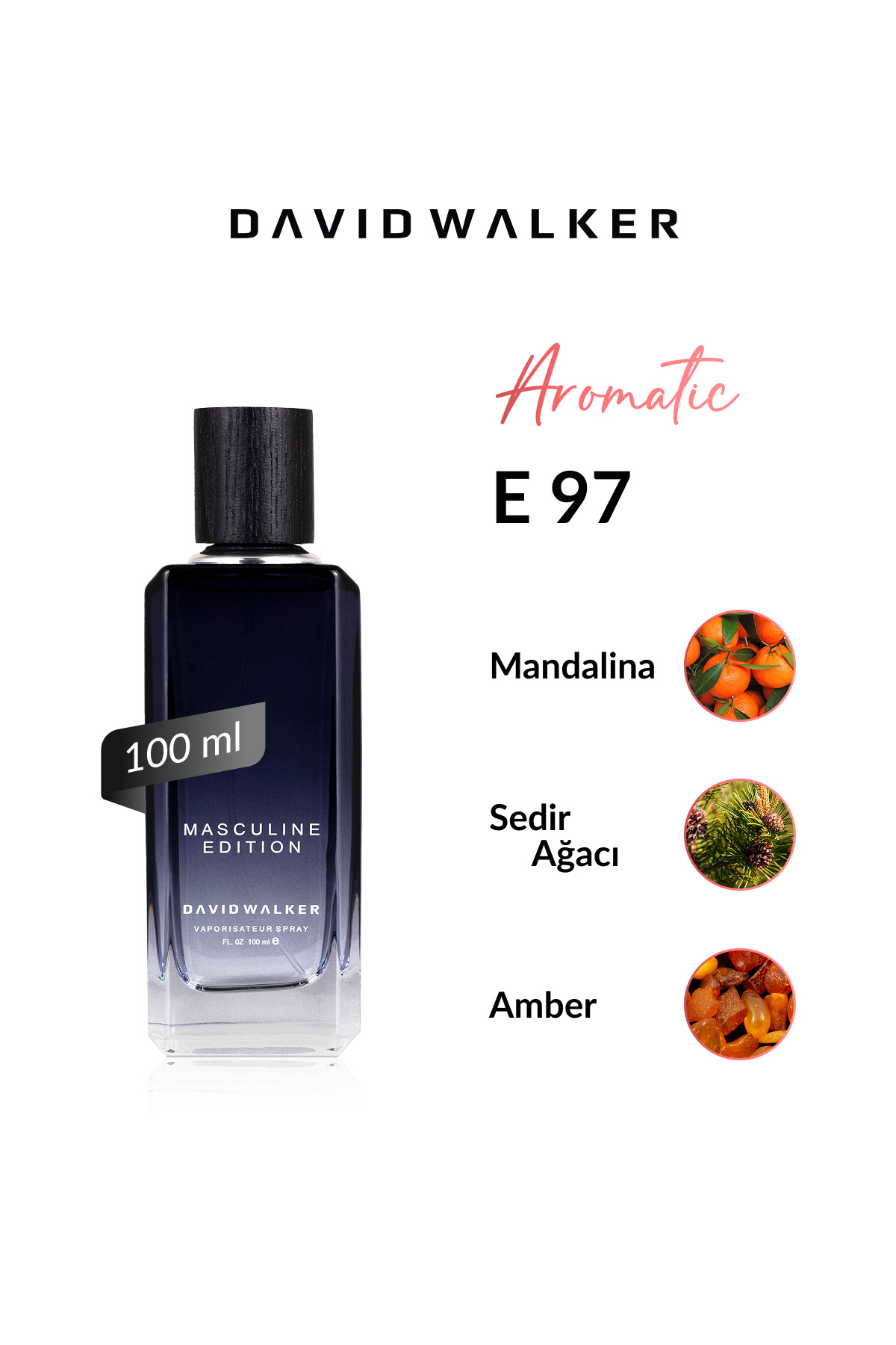 دیوید واکر E97 Bavari 100 ml عطر مردانه 