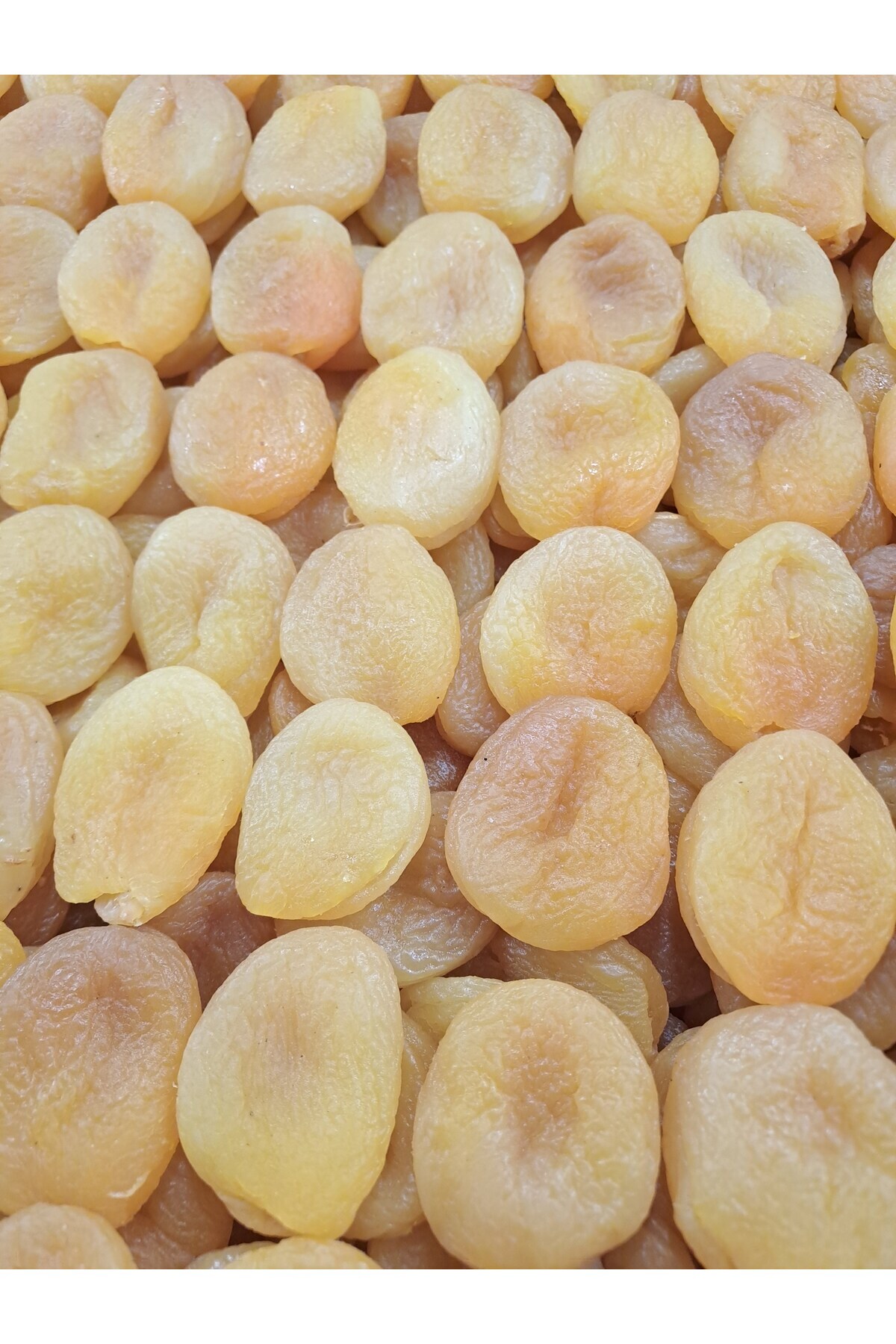 bagisan Sarı kayısı kurusu = 500 gr