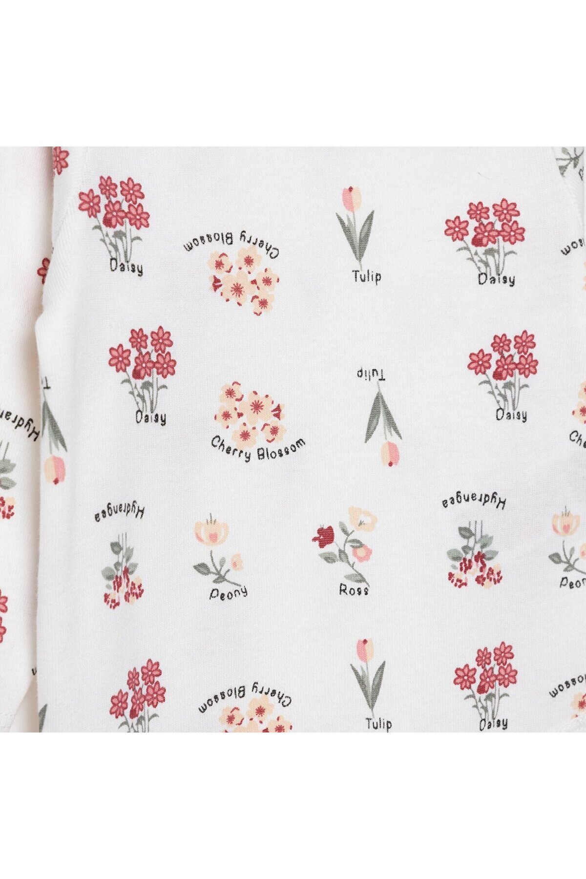 ebebek Hello Baby HelloBaby Kız Bebek Uzun Kol Body İnterlok Çıtçıtlı Yaka fotoğrafı 3 (önizleme)