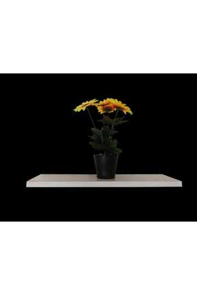 GELGEÇMOBİLYA Duvar rafı