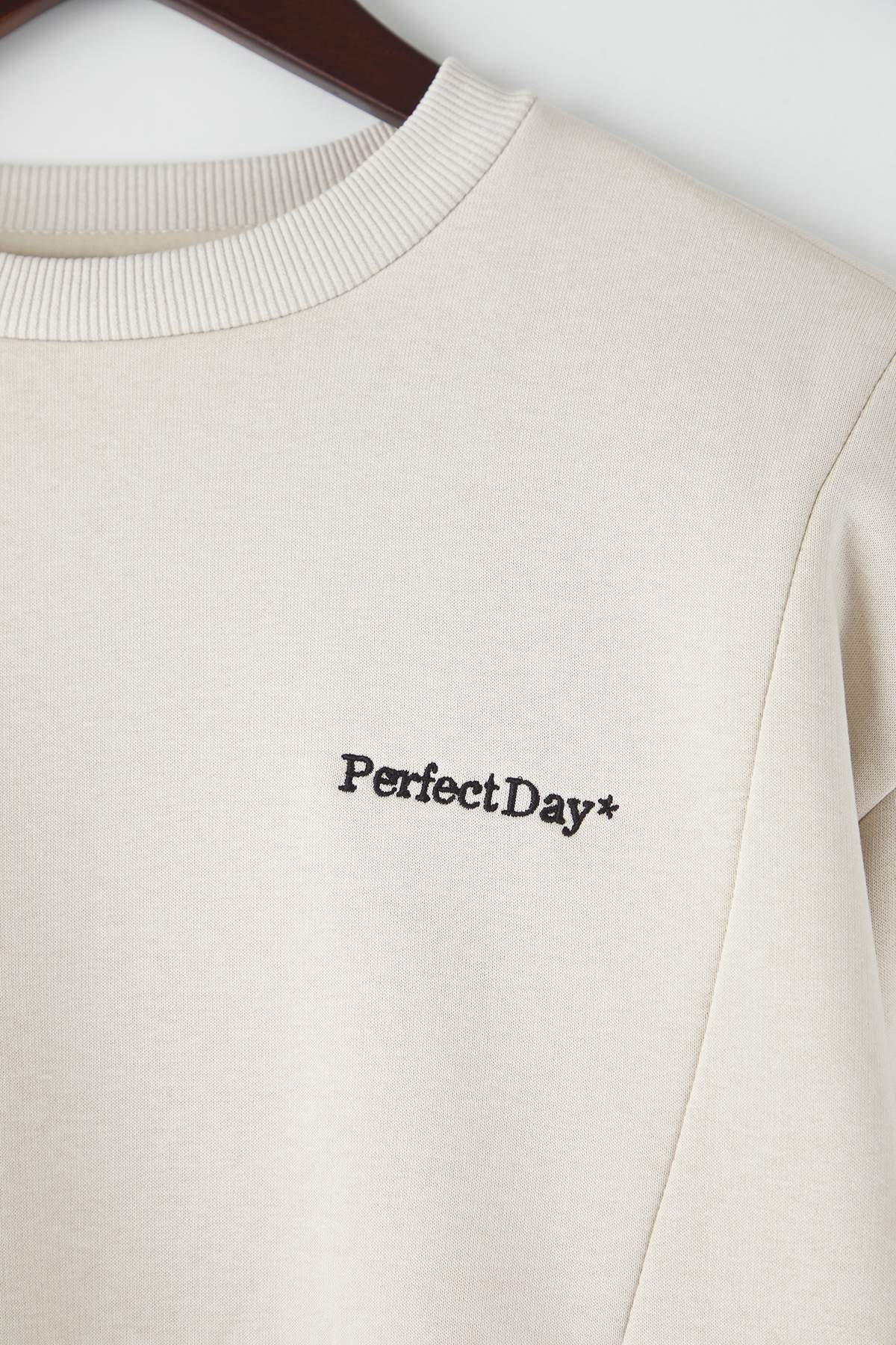 Trendyolmilla  Teen Taş Regular Dantel Detaylı Slogan Nakışlı Kalın İçi Polarlı Örme Sweatshirt TWOAW26SW00153 - Görsel 7