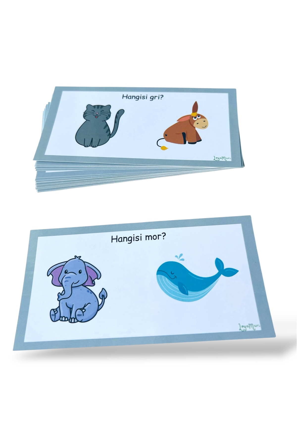 Loyameri Kidsshop RENK KARTLARI OKULÖNCESİ, ÖZEL EĞİTİM ETKİNLİK fotoğrafı 3 (önizleme)