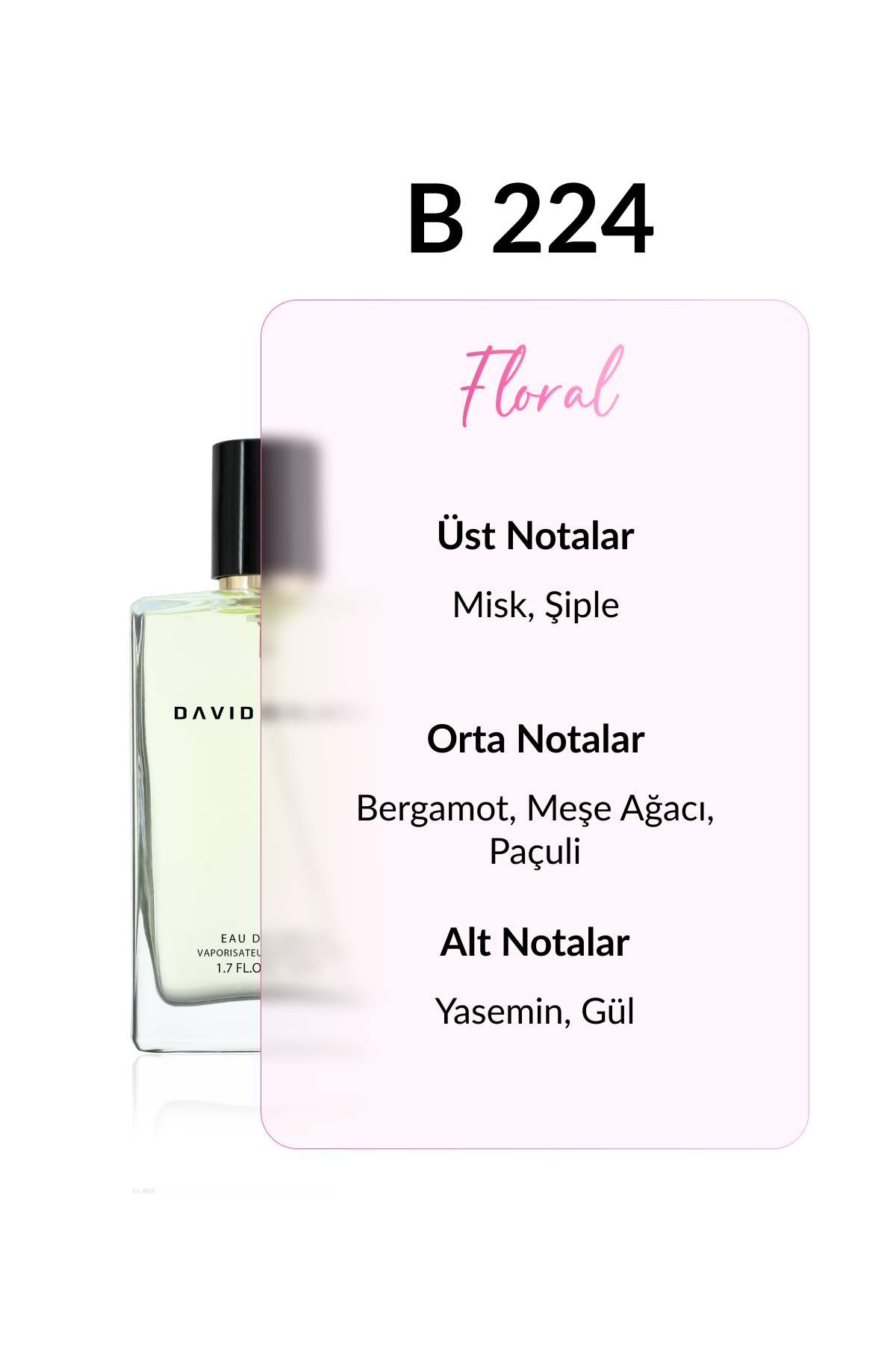 عطر زنانه | دیوید واکر David Walker B-224 DW 50 - تصویر 2