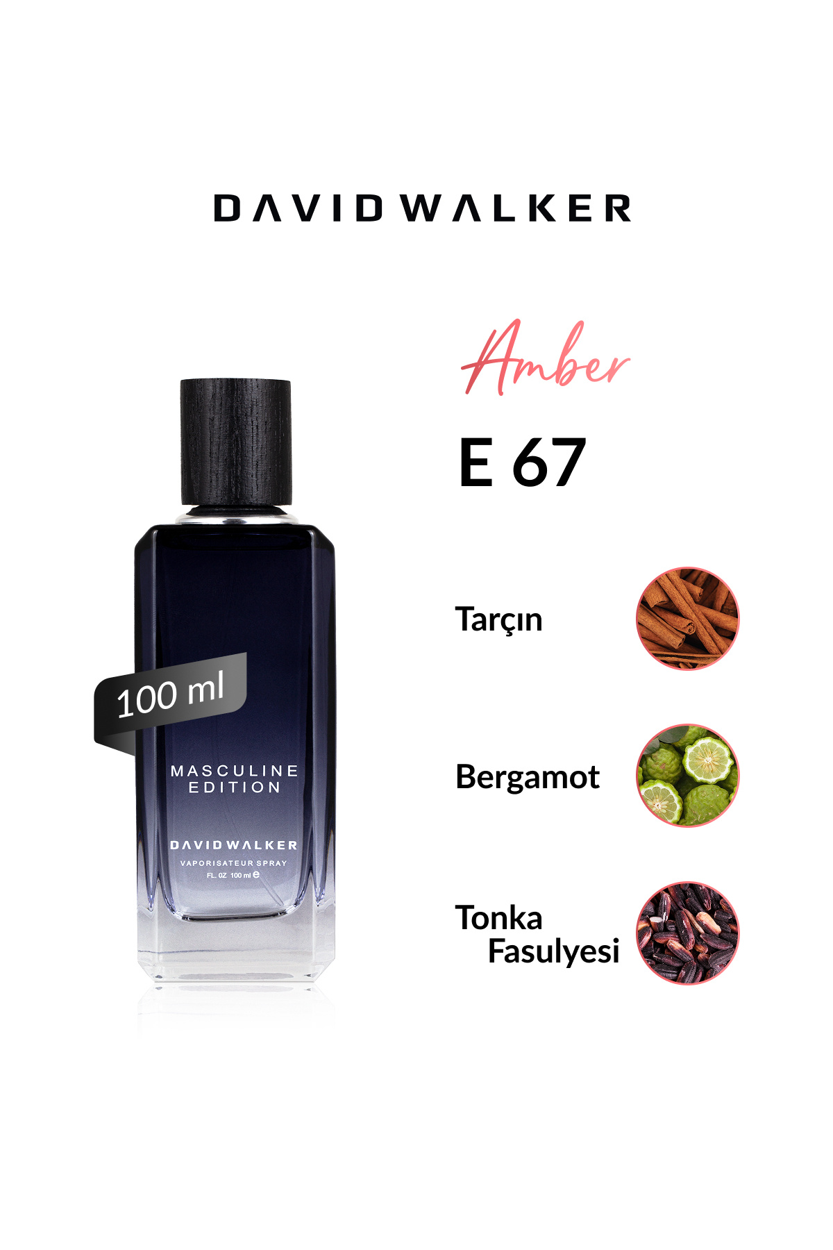 دیوید واکر E67 Tom 100 ml عطر مردانه 