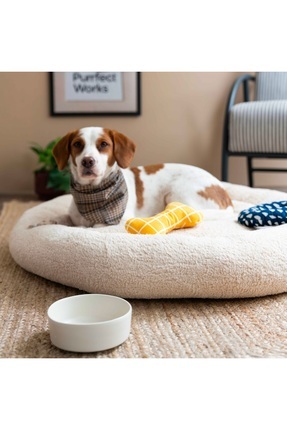 Purrfect Works CircleBed Ortopedik Kedi ve Köpek Yatağı