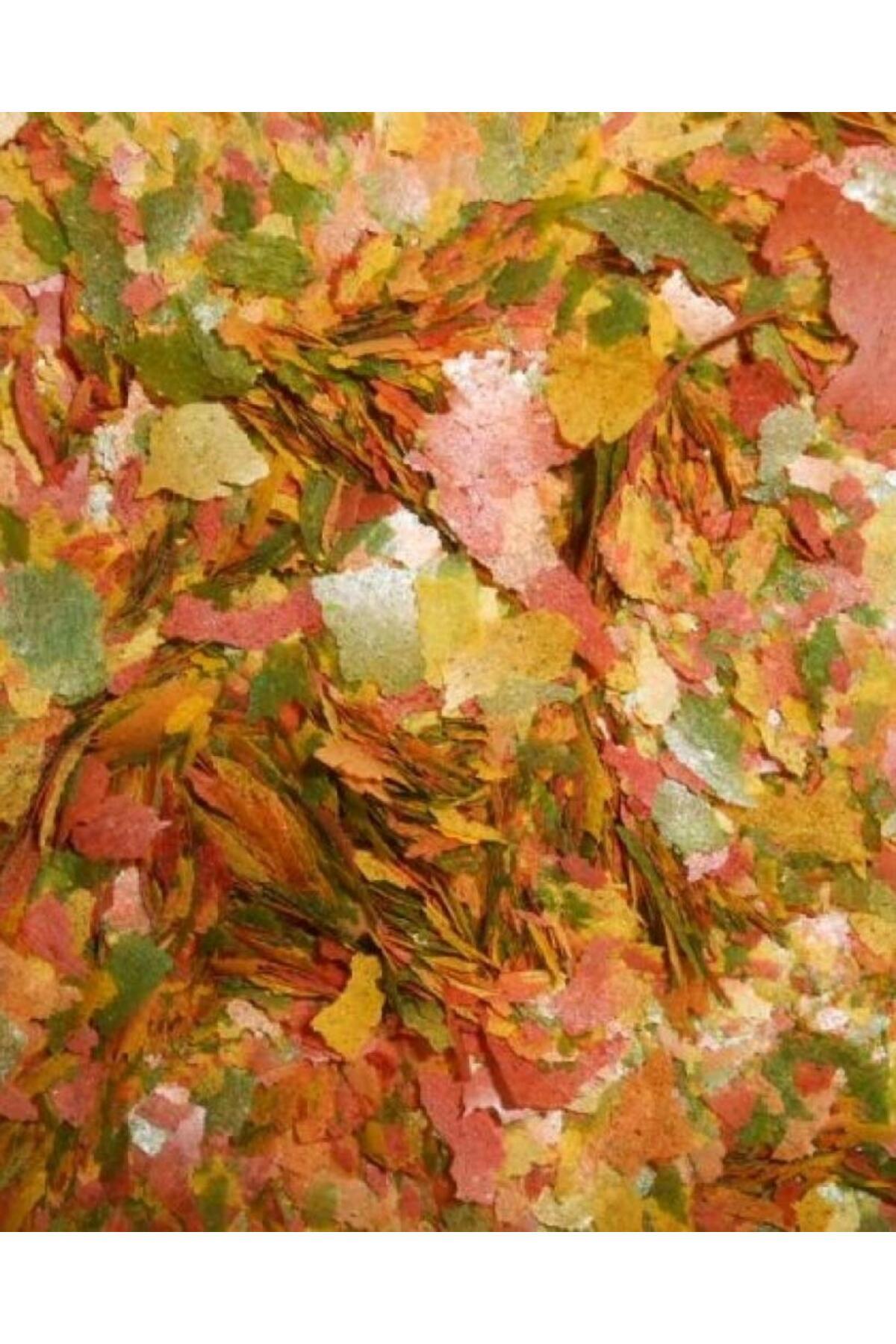 Ahm Tropical Mix Flake 250gr Kilitli Poşette Gönderilir skt:04/2028