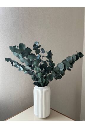 Vesile Atölye Okaliptus Demeti - Şoklanmış Okaliptus Kuru Çiçek (Yeşil)