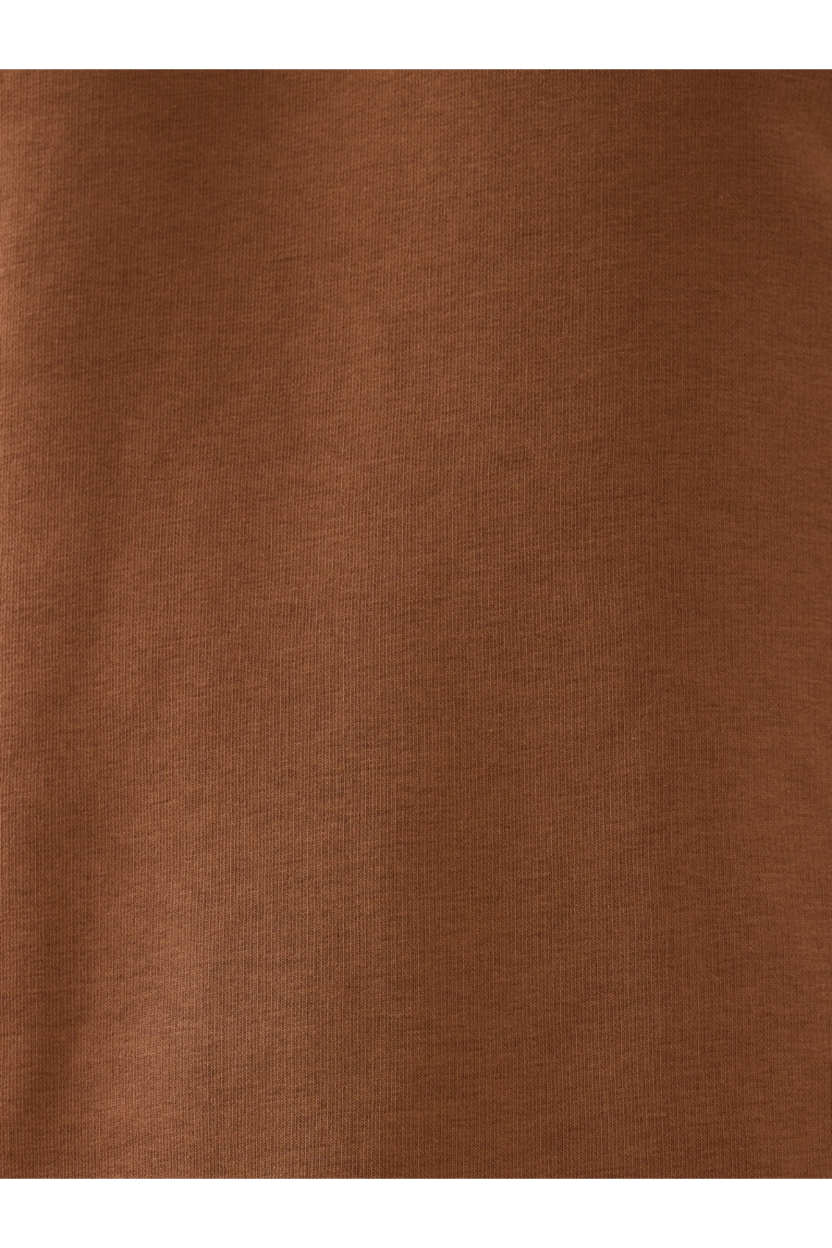 Regular Fit Erkek Sweatshirt — قهوه‌ای LF2041195_Q1.V1 — تصویر 7 از 7