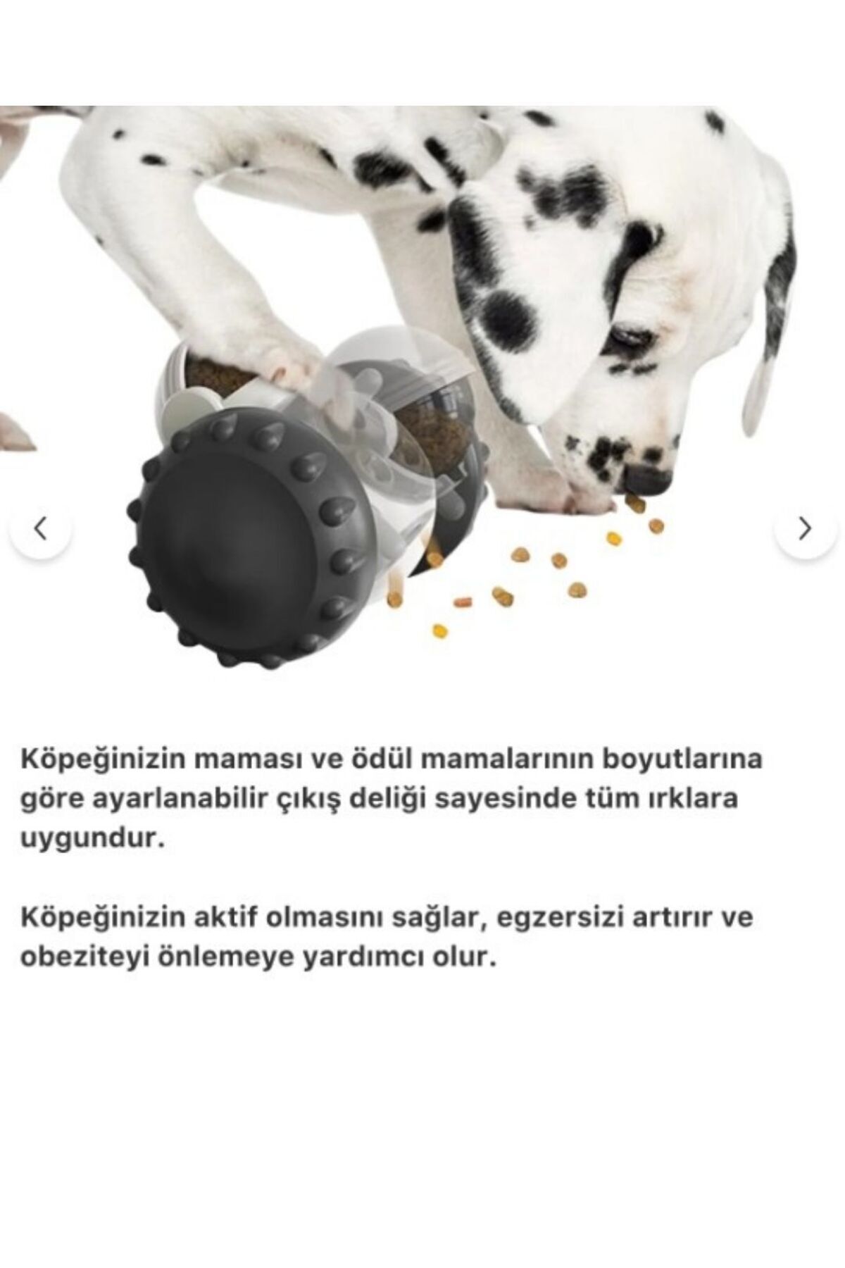 Sevimli Petstore Yeni Nesil Kedi ve Köpek İnteraktif Mama Dağıtıcı Ödül Maması Atıcı Robot fotoğrafı 6 (önizleme)