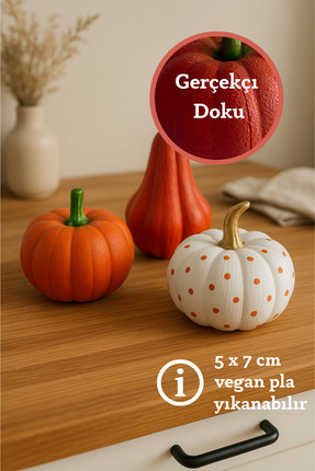 APJ STORE SINCE 2020 Dekoratif Kabak Seti Minimalist Rustik 7 x 5 cm Vegan Pl...