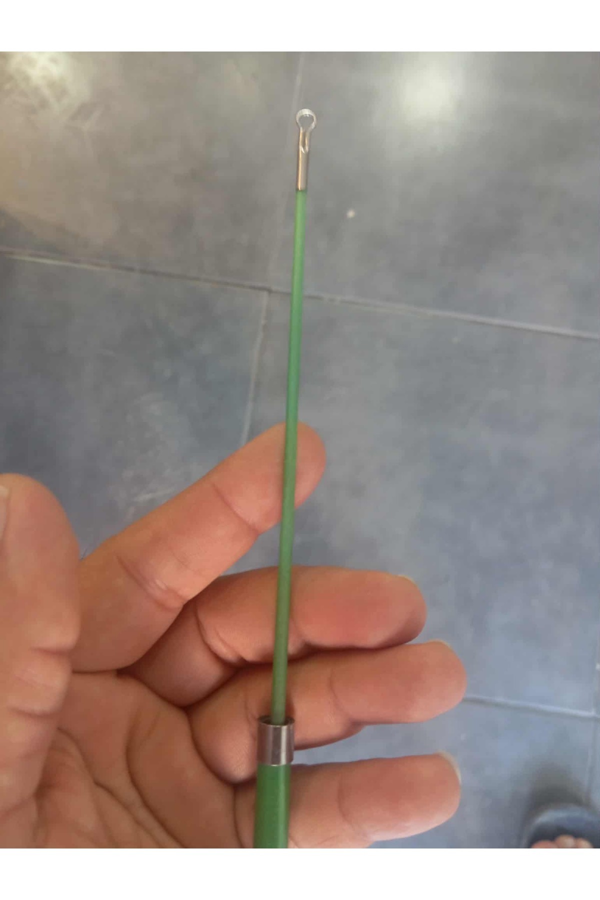 Denizyıldızı Olta GÖL KAMIŞI 7-8-9 Metre Lion Fishing PROMADE