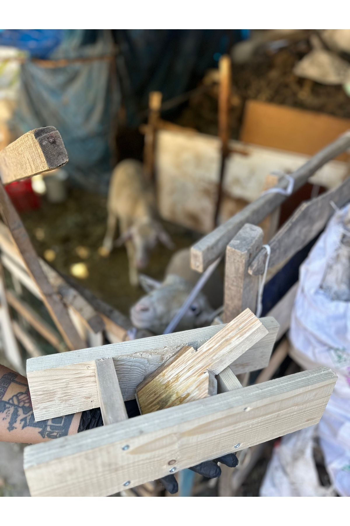 Kırmalık Zeytin Yap Ahşap Pratik Zeytin Kırma Aparatı Aleti Makinası