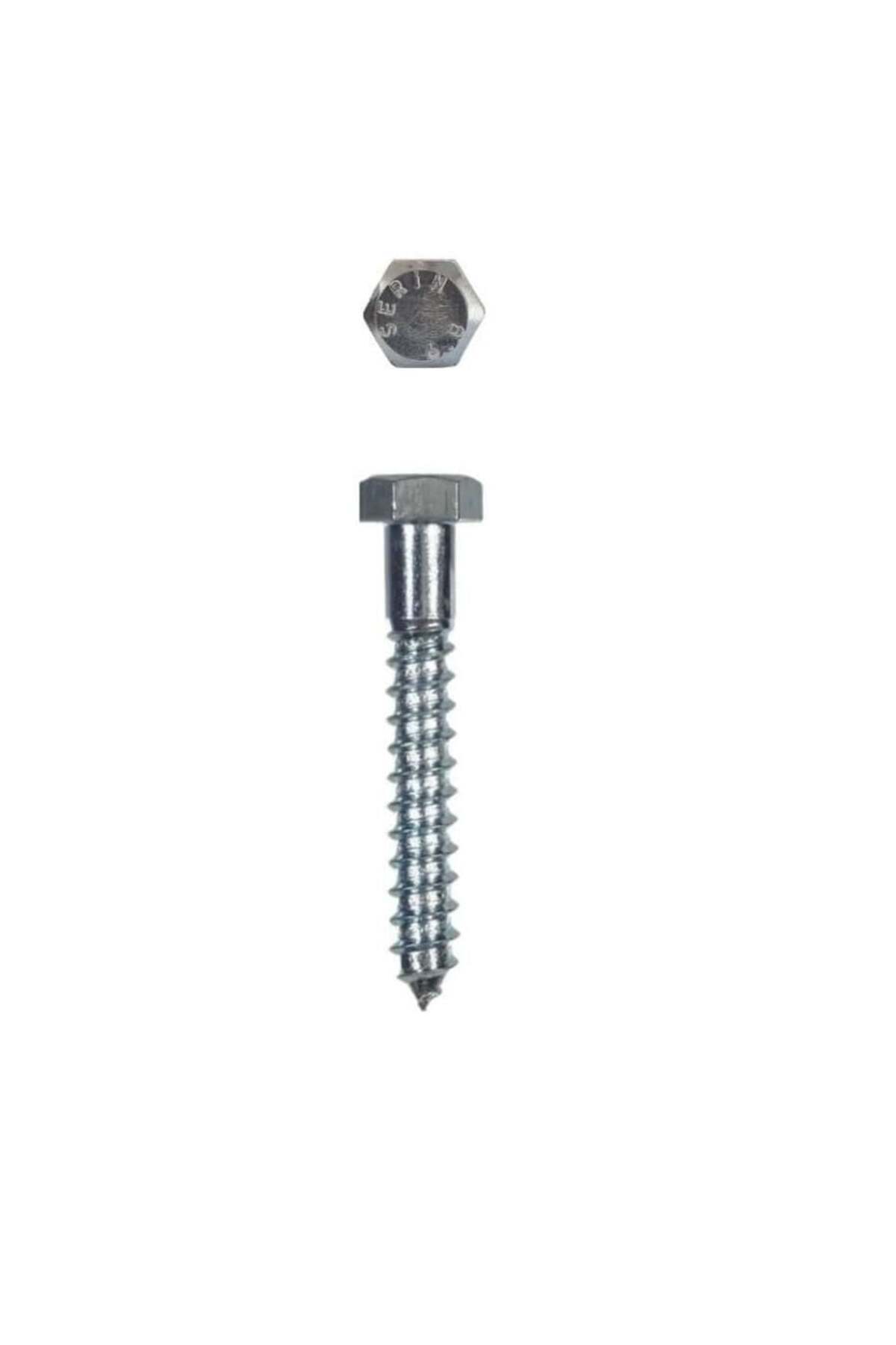 ELEKTRİK DOKTORU Ennalbur Trifon Vida 8X100 Mm (5 Adet)