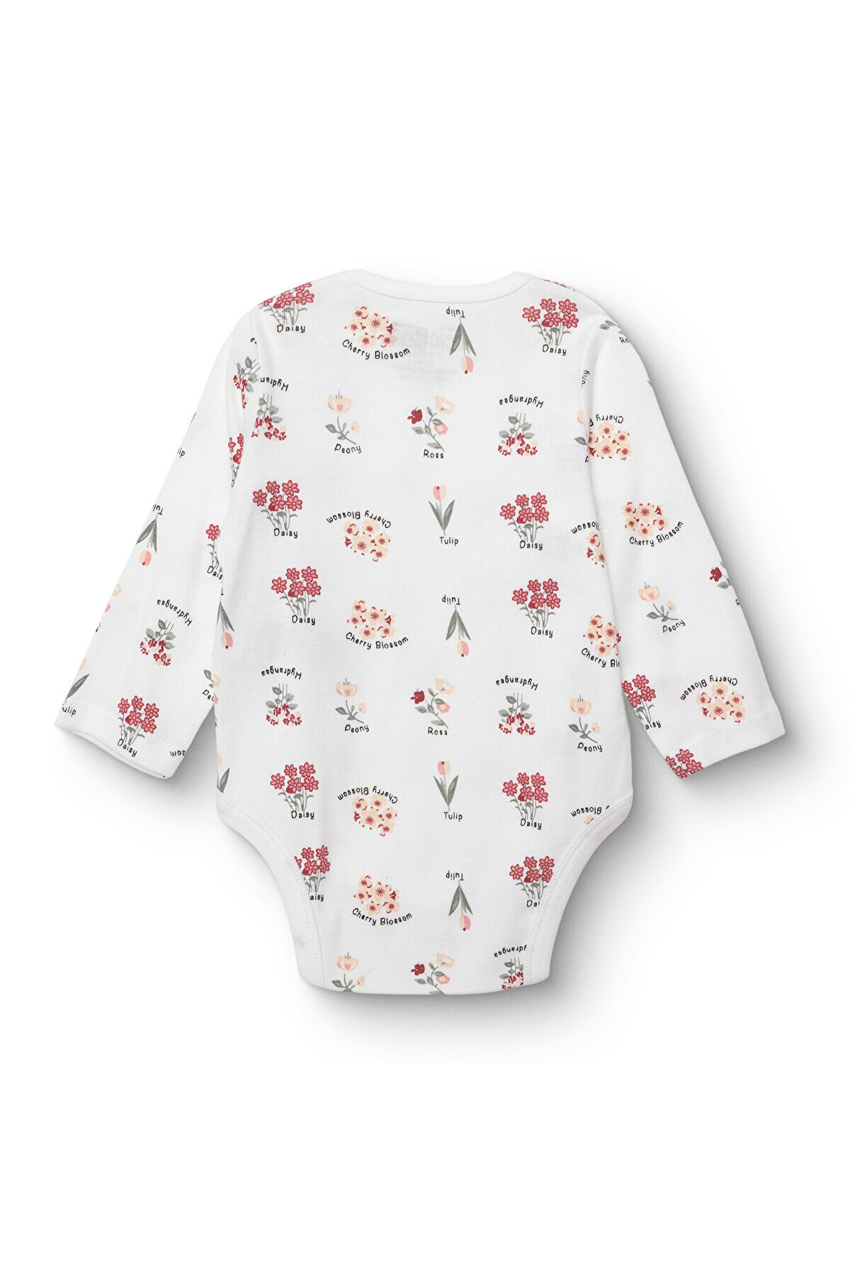 ebebek Hello Baby HelloBaby Kız Bebek Uzun Kol Body İnterlok Çıtçıtlı Yaka fotoğrafı 2 (önizleme)