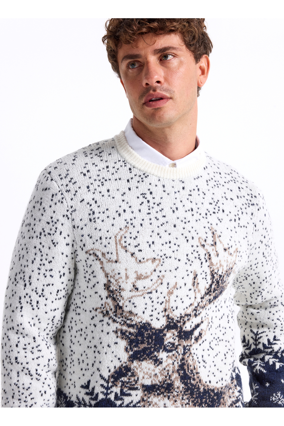 Fabrika Bisiklet Yaka Slim Fit Desenli Kırık Beyaz Erkek Kazak F5WM-KZK 2540 görsel 3
