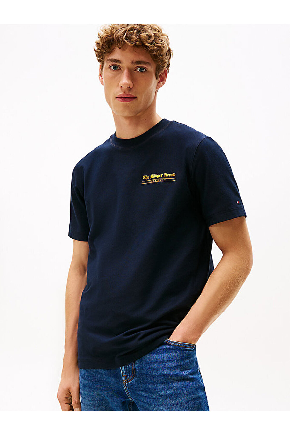 تامی هیلفیگر تی شرت مردانه طرح هیلفیگر هرالد مدل Back