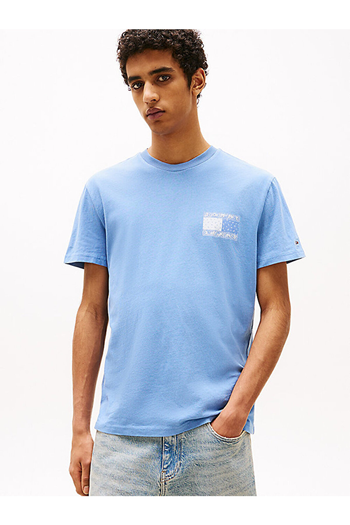 تامی هیلفیگر تی شرت مردانه طرح tjm reg paisley