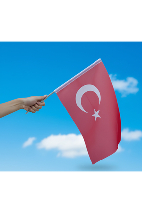 AKYILDIZ store 10 ADET Sopalı Türk Bayrağı 20x30 cm – Raşel Kumaş, Çift Dikiş...