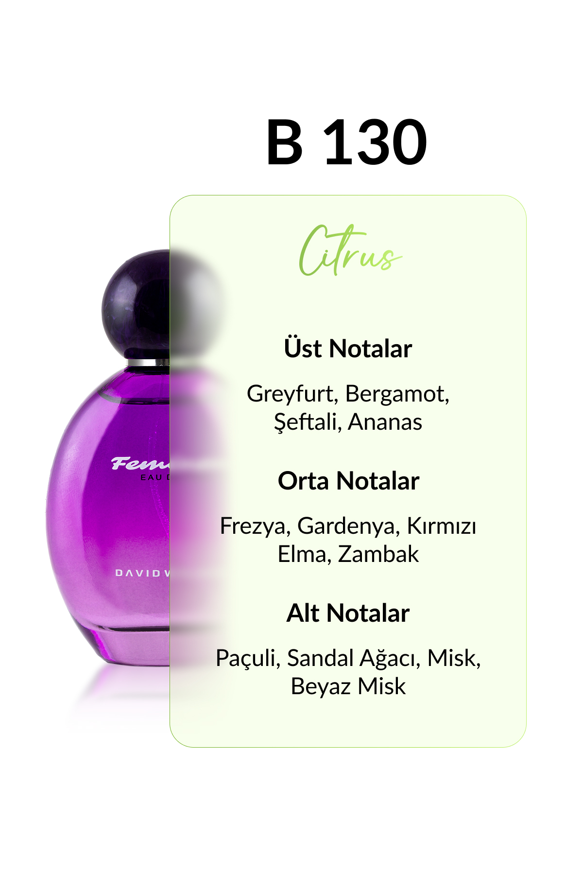 عطر زنانه | دیوید واکر David Walker B-130 DW 100 - تصویر 2