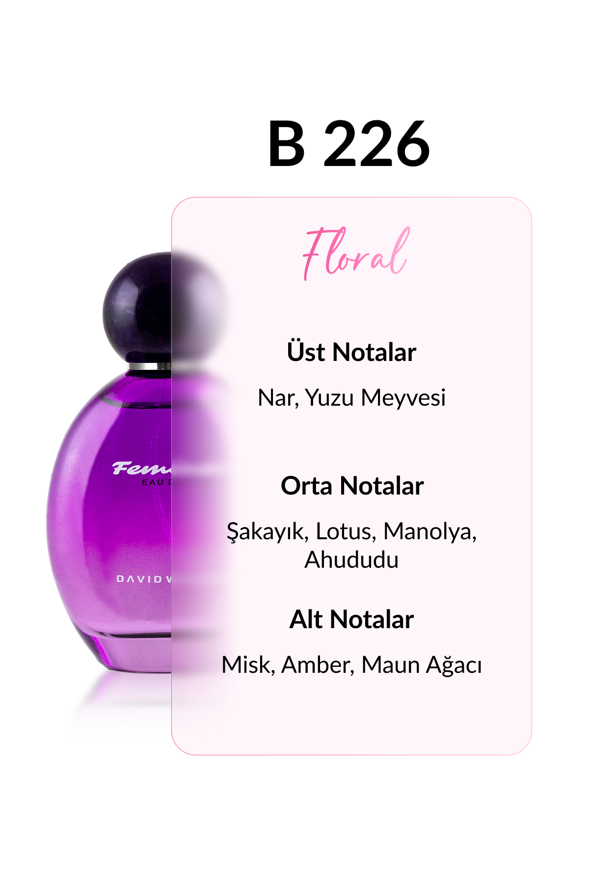 عطر زنانه | دیوید واکر David Walker B-226 DW 100 - تصویر 2