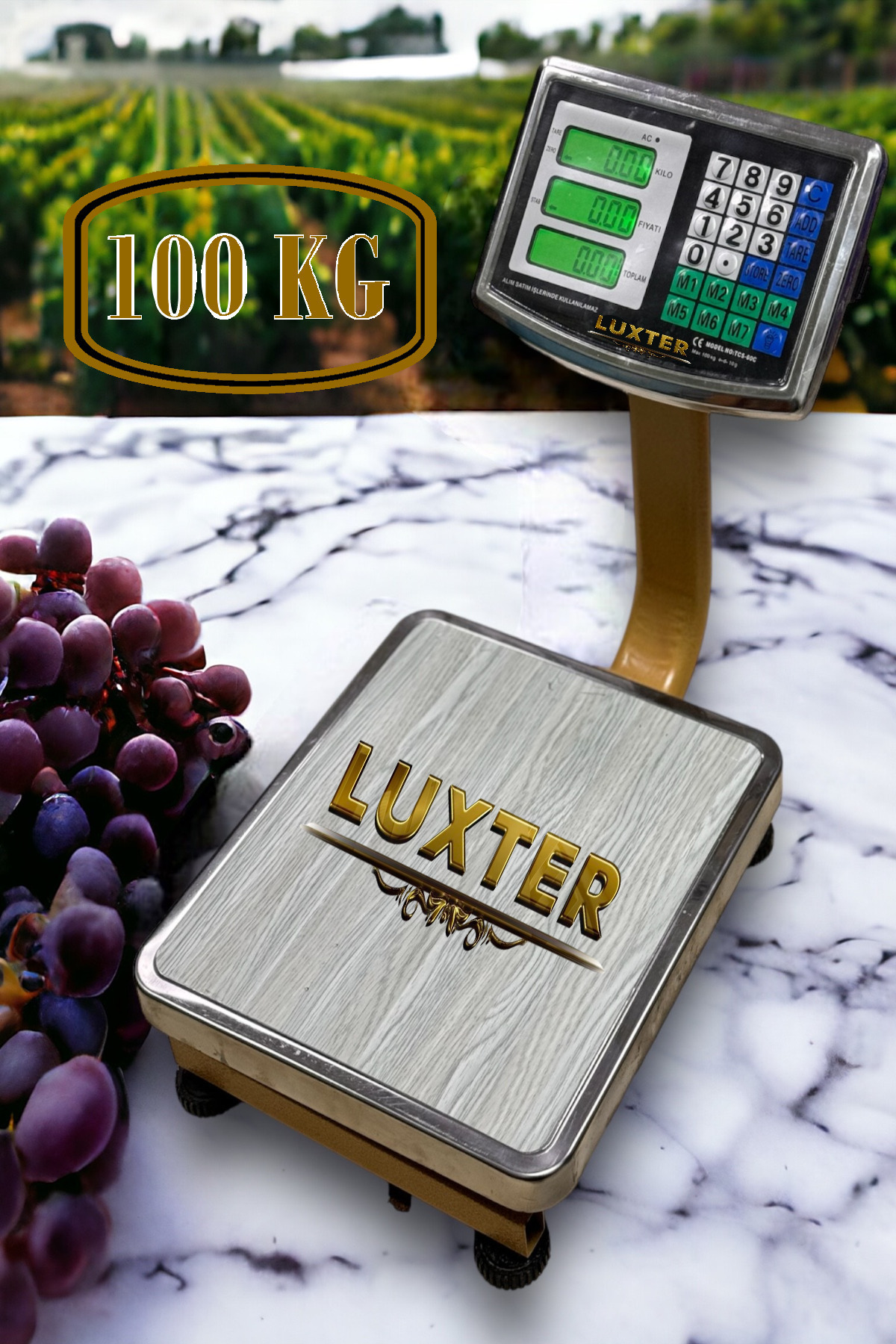 LUXTER Lüx 100 Kg / 10 gram Hasssasiyet Terazi Elektronik Katlanır Boyunlu Terazi