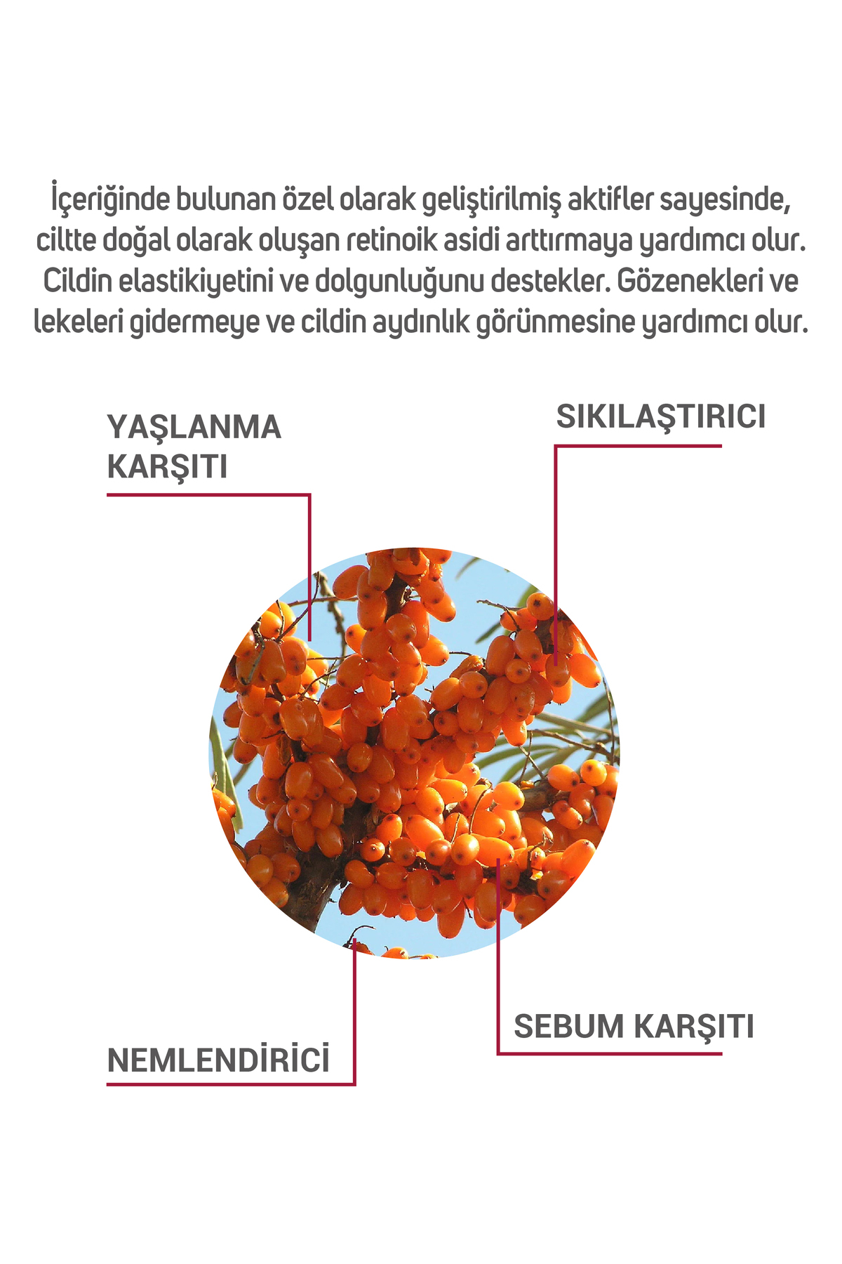 Novoretin %3 Doğal Retinol Içeren Yaşlanma Karşıtı Serum 30 ml — 8684501985961 — تصویر 3 از 6