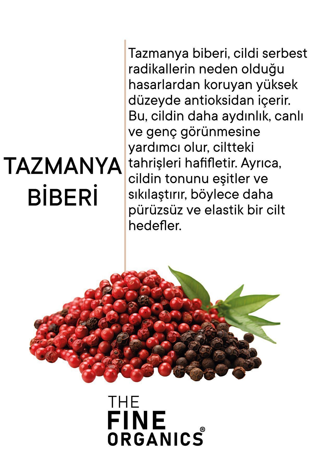 سرم لایه بردار قرمز و پاک کننده رنگ پوست شب حاوی عصاره فلفل تاسمانی حاوی 30% AHA + 2% BHA — TFOABS01 — تصویر 3 از 6