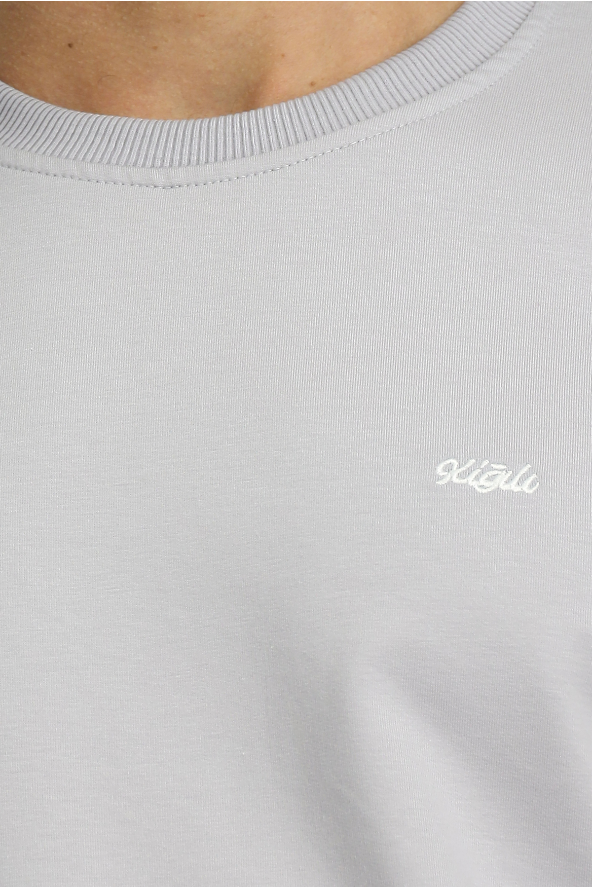 Kiğılı  Bisiklet Yaka Regular Fit Nakışlı Basic İnce Sweatshirt - Görsel 6