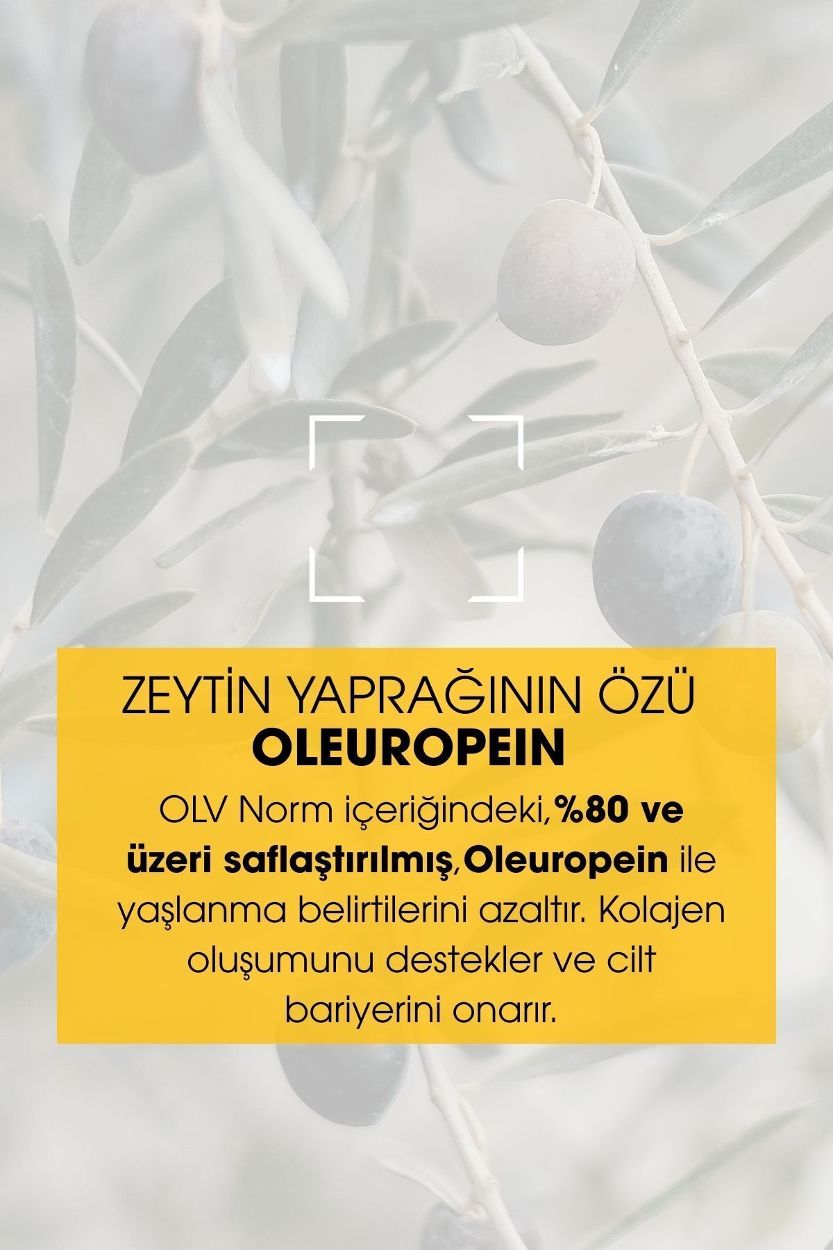 Spf 50 Yaşlanma Karşıtı Leke Karşıtı Güneş Kremi 50 ml — OLV002 — تصویر 8 از 8