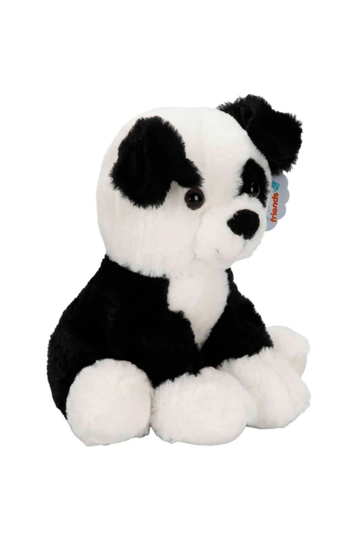 سگ پشمالوی بامزه ۳۲ سانتی‌متری