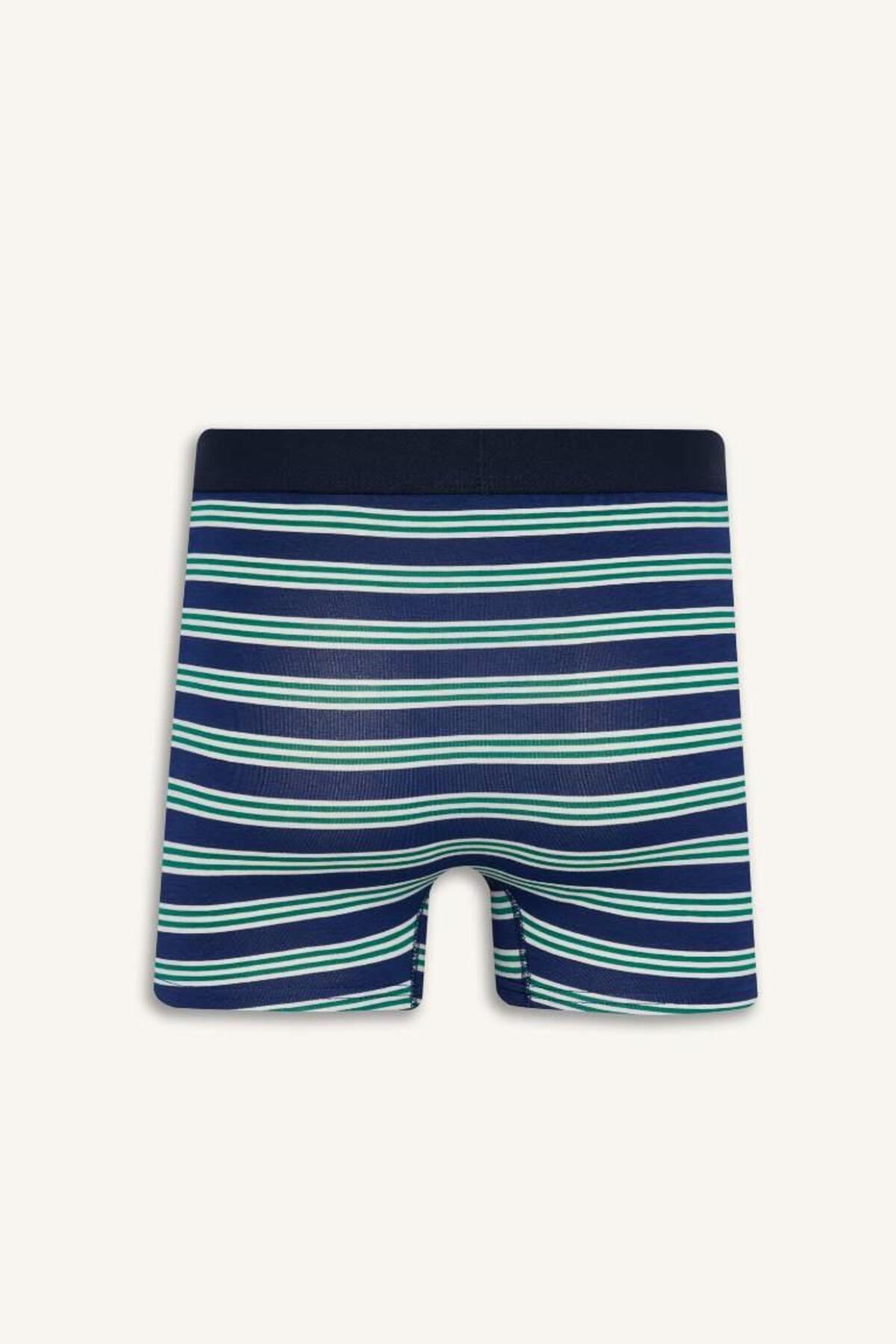DeFacto Regular Fit Pamuklu Çizgili 3'lü Boxer E0123AX25AU görsel 3