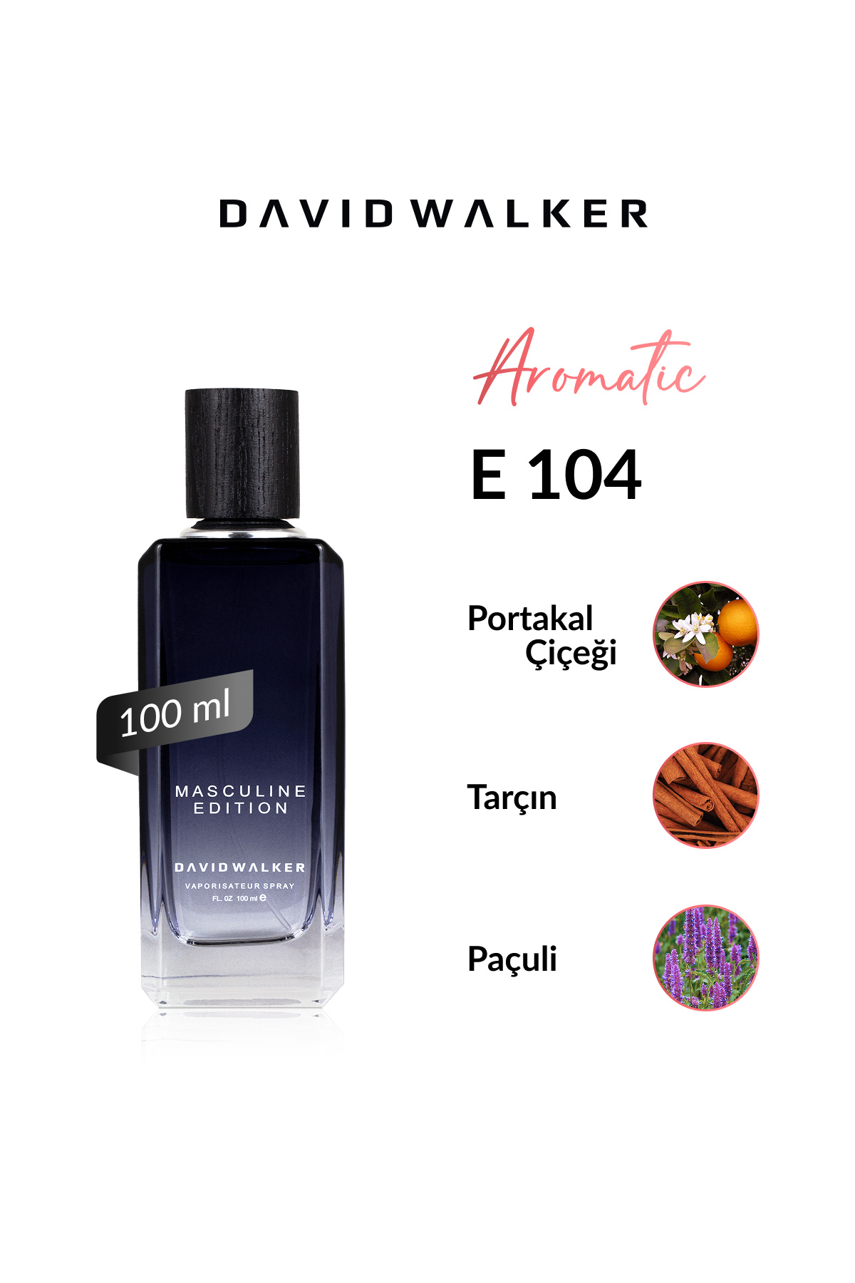 دیوید واکر E104 Harbor 100 ml عطر مردانه 
