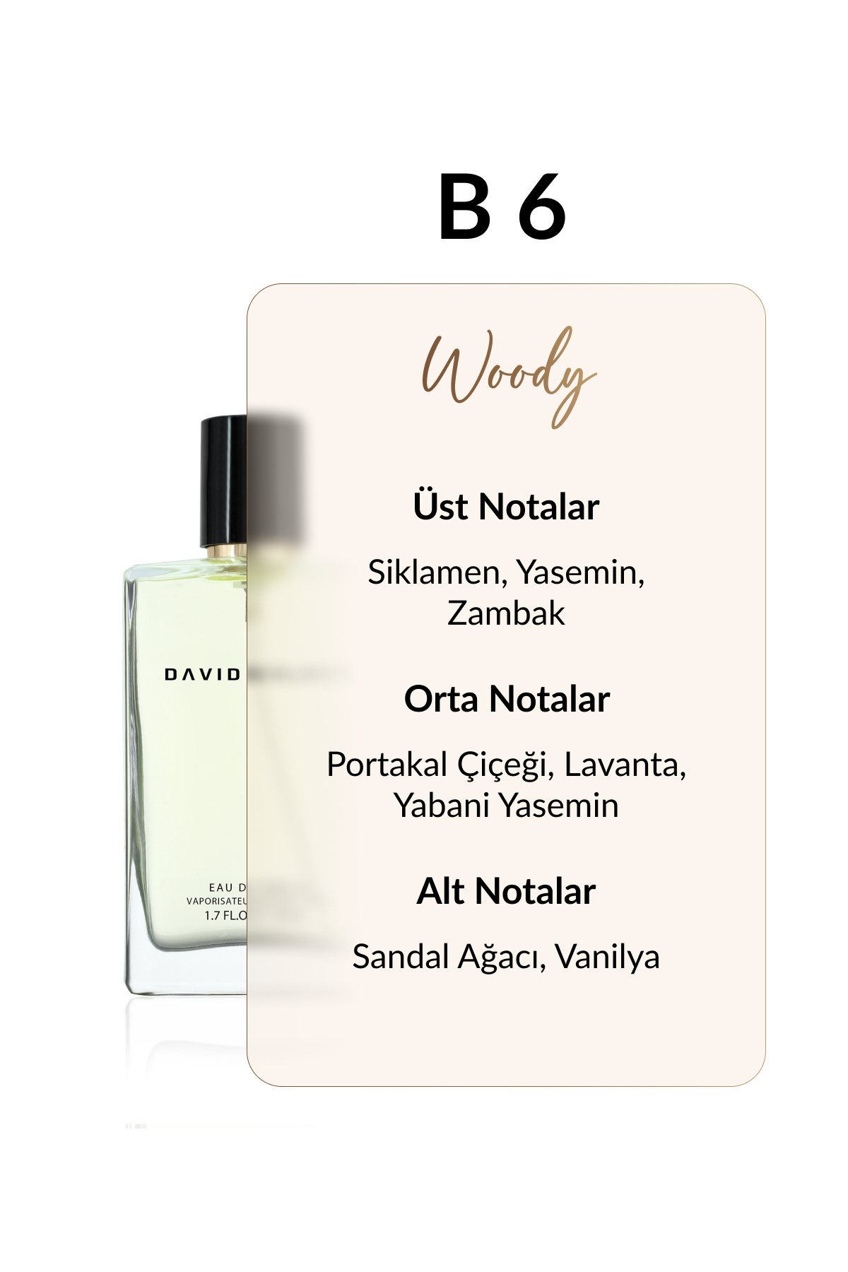 عطر زنانه | دیوید واکر David Walker B-006 DW 50 - تصویر 2