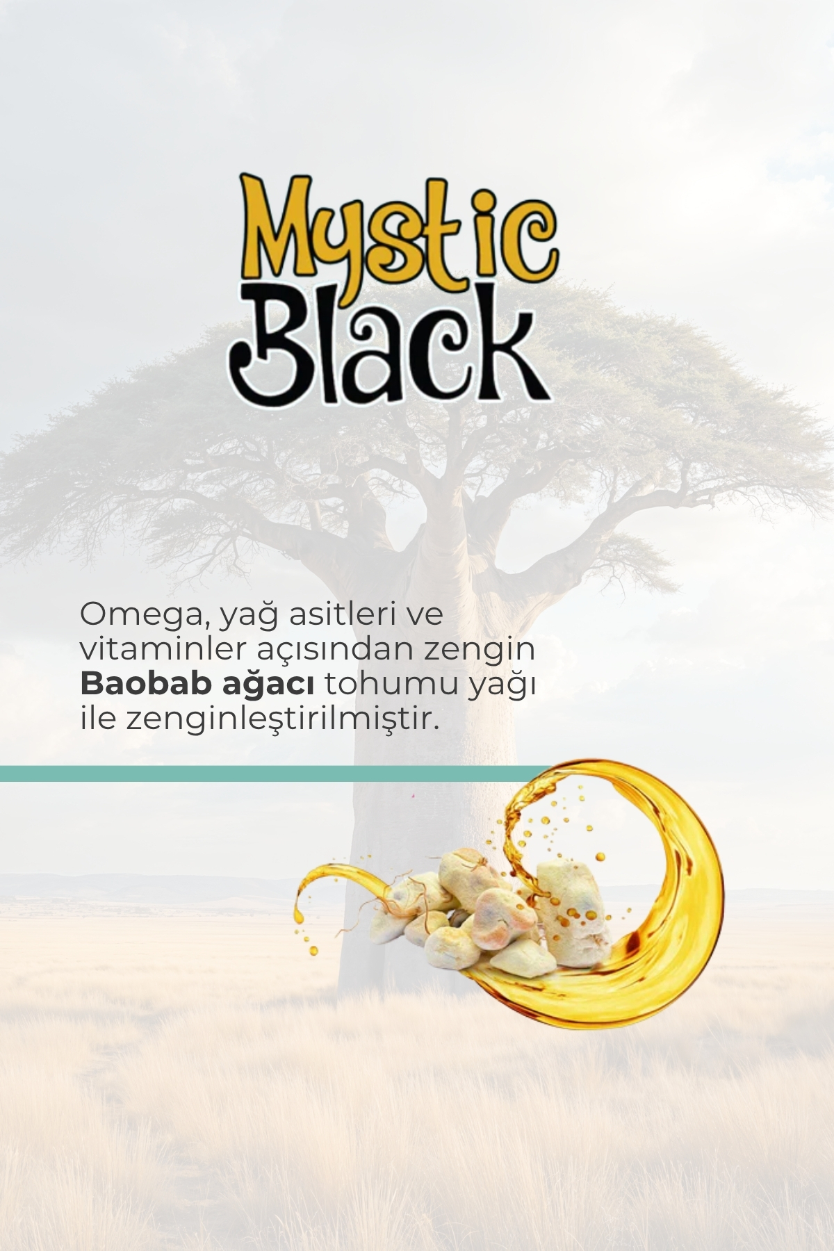 Mystic Black - Kuru Bukleli Saçlar Için Onarıcı Şampuan 300ml Saç Kremi 300ml — 8761200037462 — تصویر 3 از 5