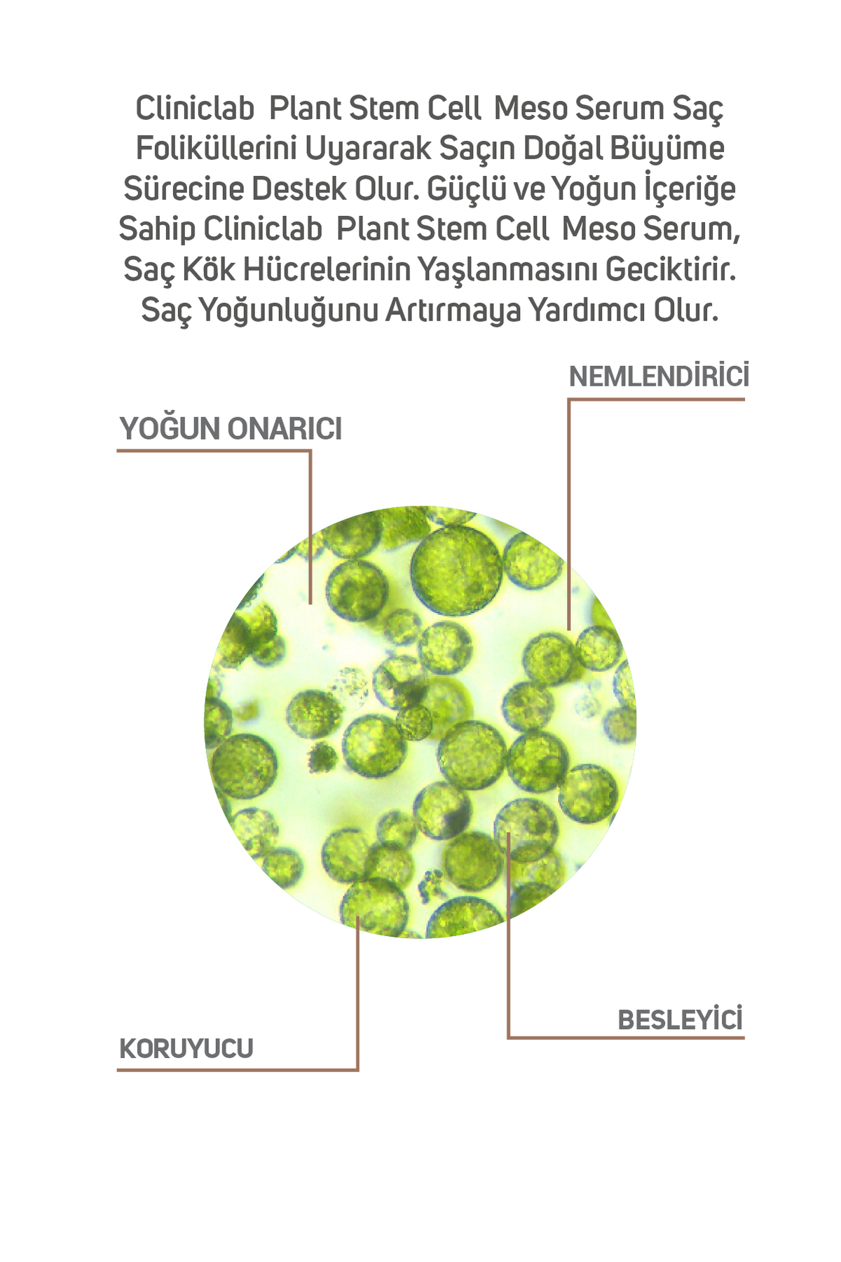 Saç Köklerini Uyarıcı %10 Bitkisel Kök Hücre Içeren Meso Serum 6 ml X 2 Adet — 8684209792229 — تصویر 3 از 6