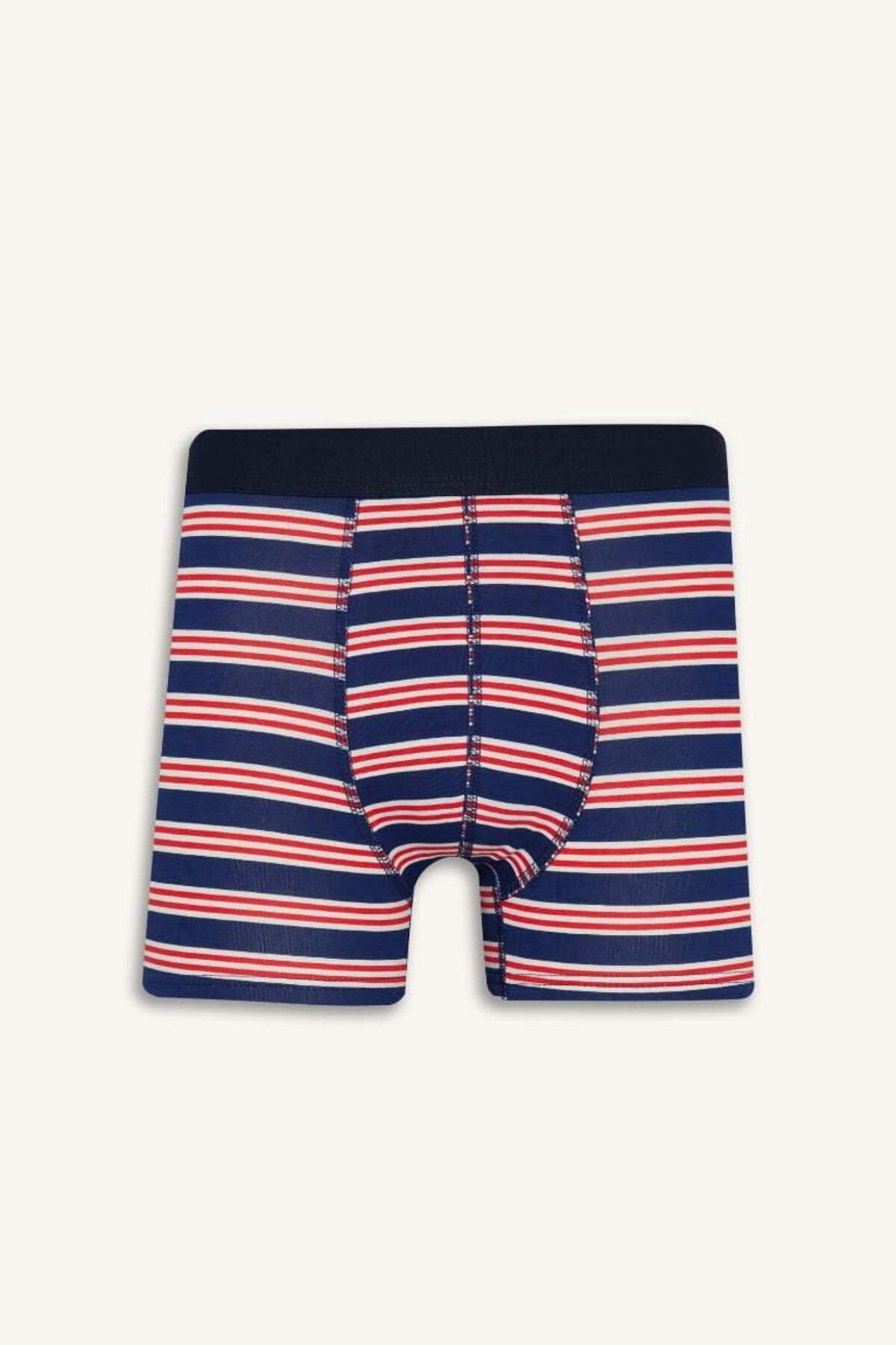 DeFacto Regular Fit Pamuklu Çizgili 3'lü Boxer E0123AX25AU görsel 6